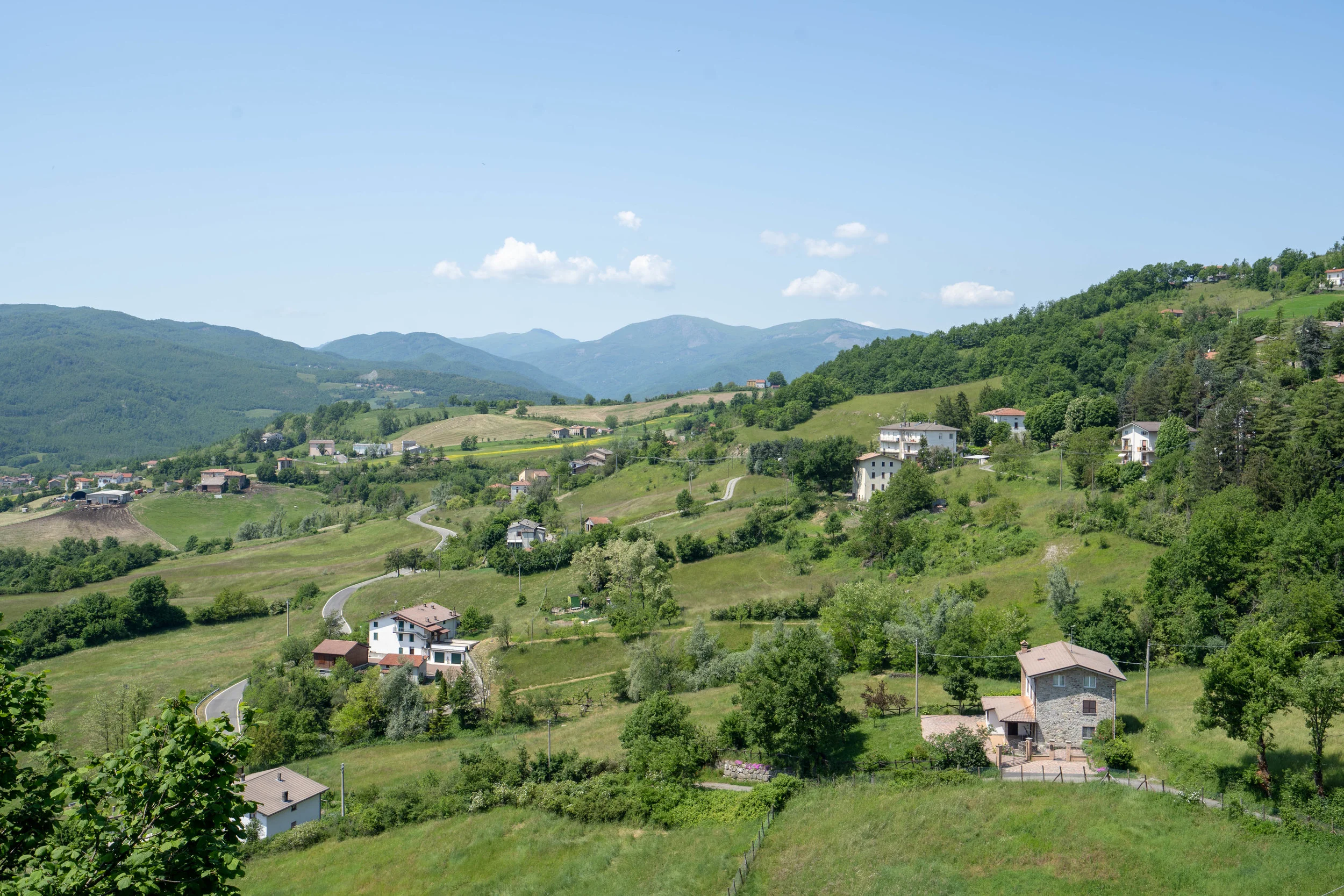 DSC00696-HDR.jpg