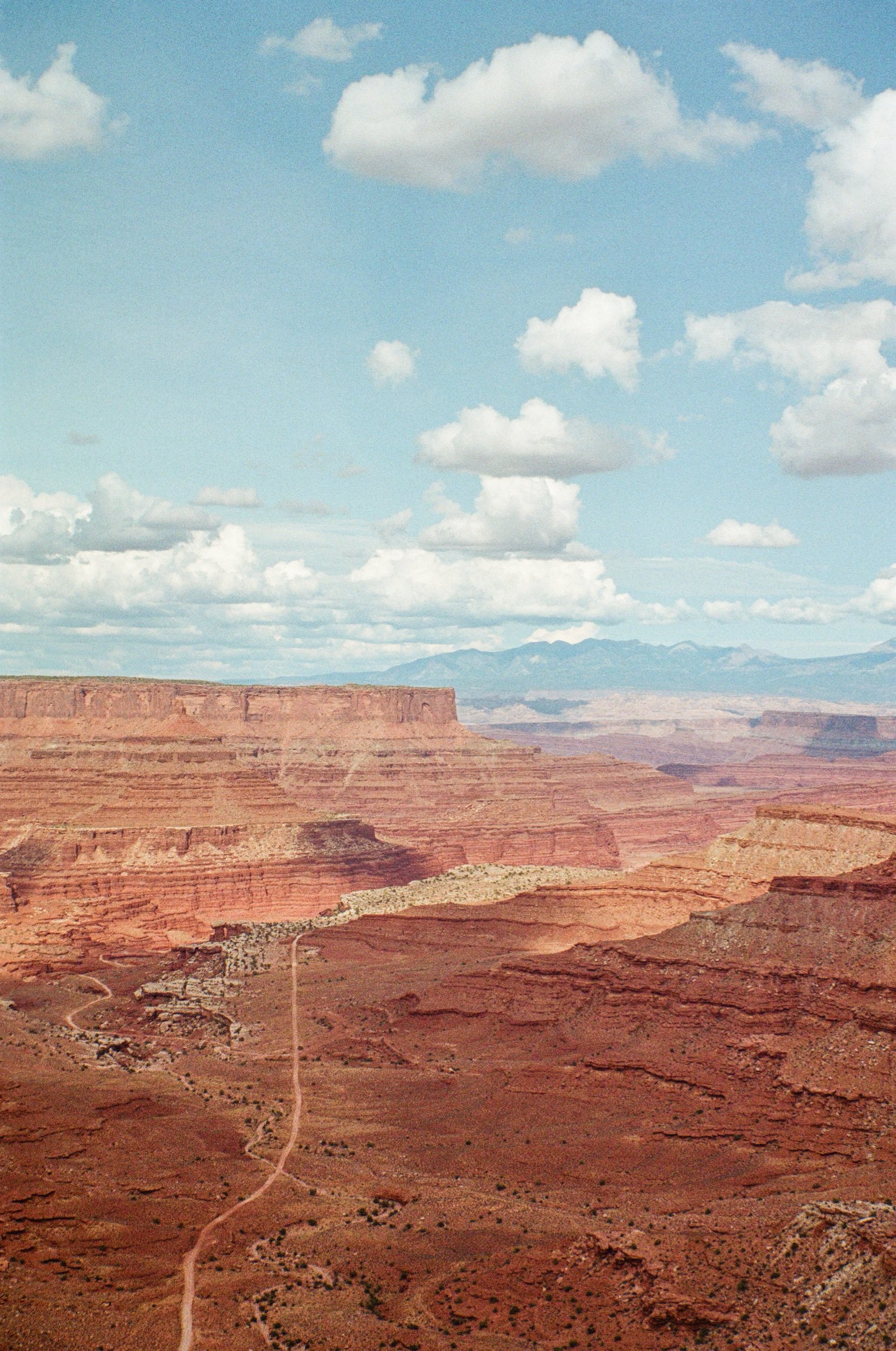 34F0A1AF-9044-43E3-899C-4A3449302044.jpeg