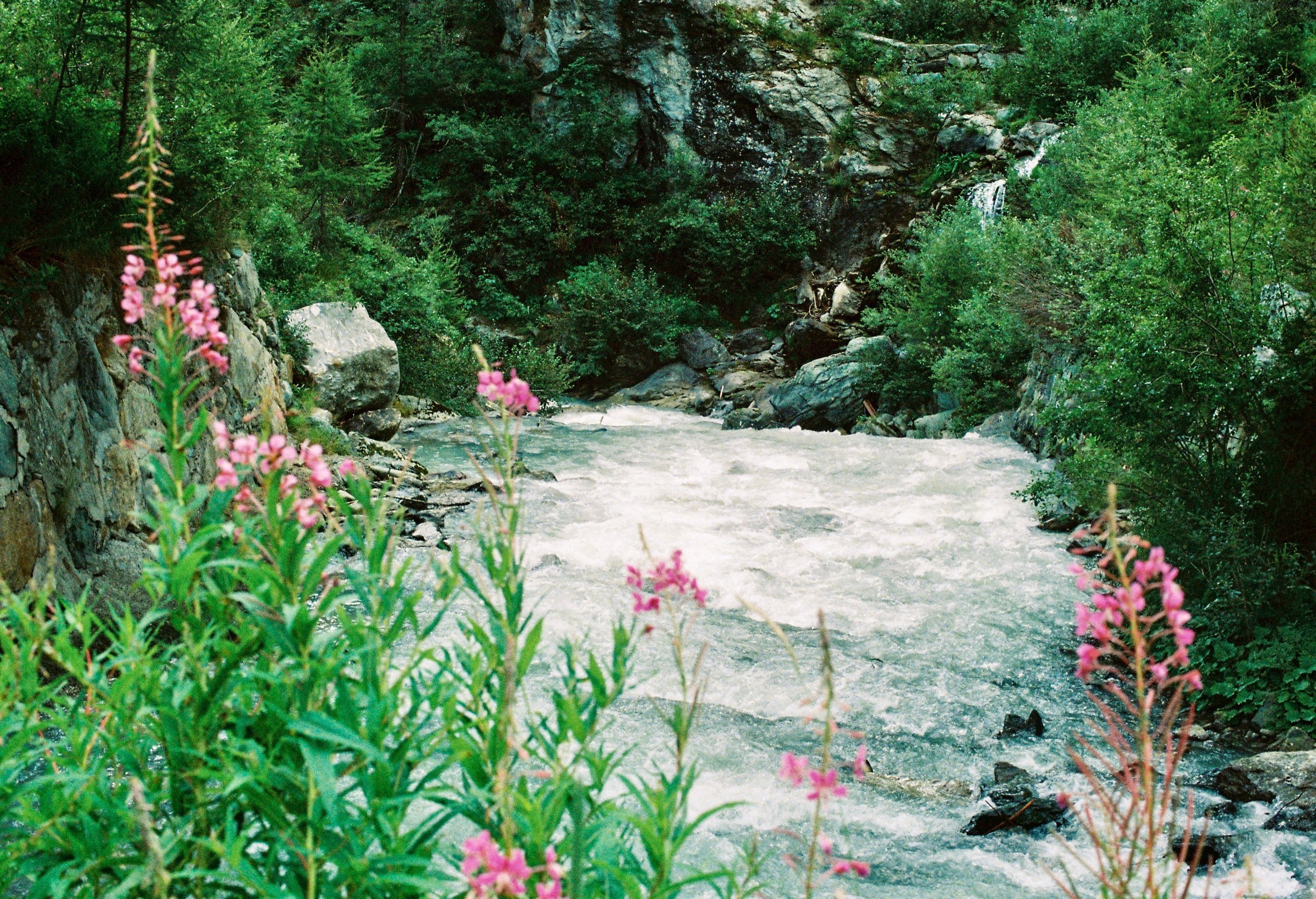 275DB2B1-B66B-4450-A727-C8135F152D0C.jpeg