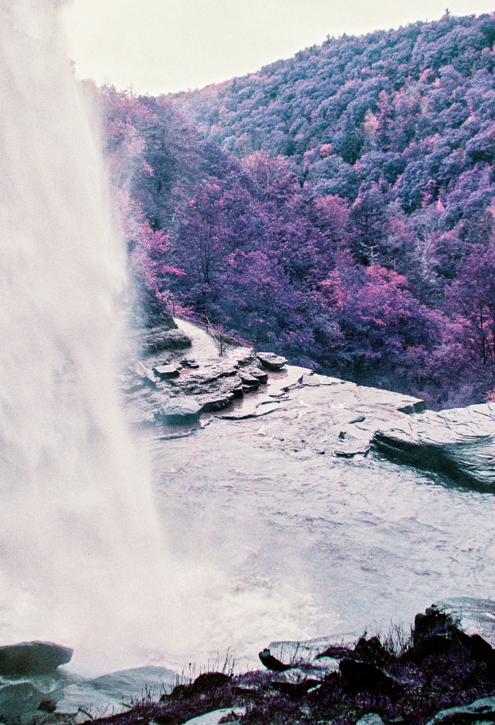 19F7D025-674C-4D6C-839A-0665393B2C1A.jpeg