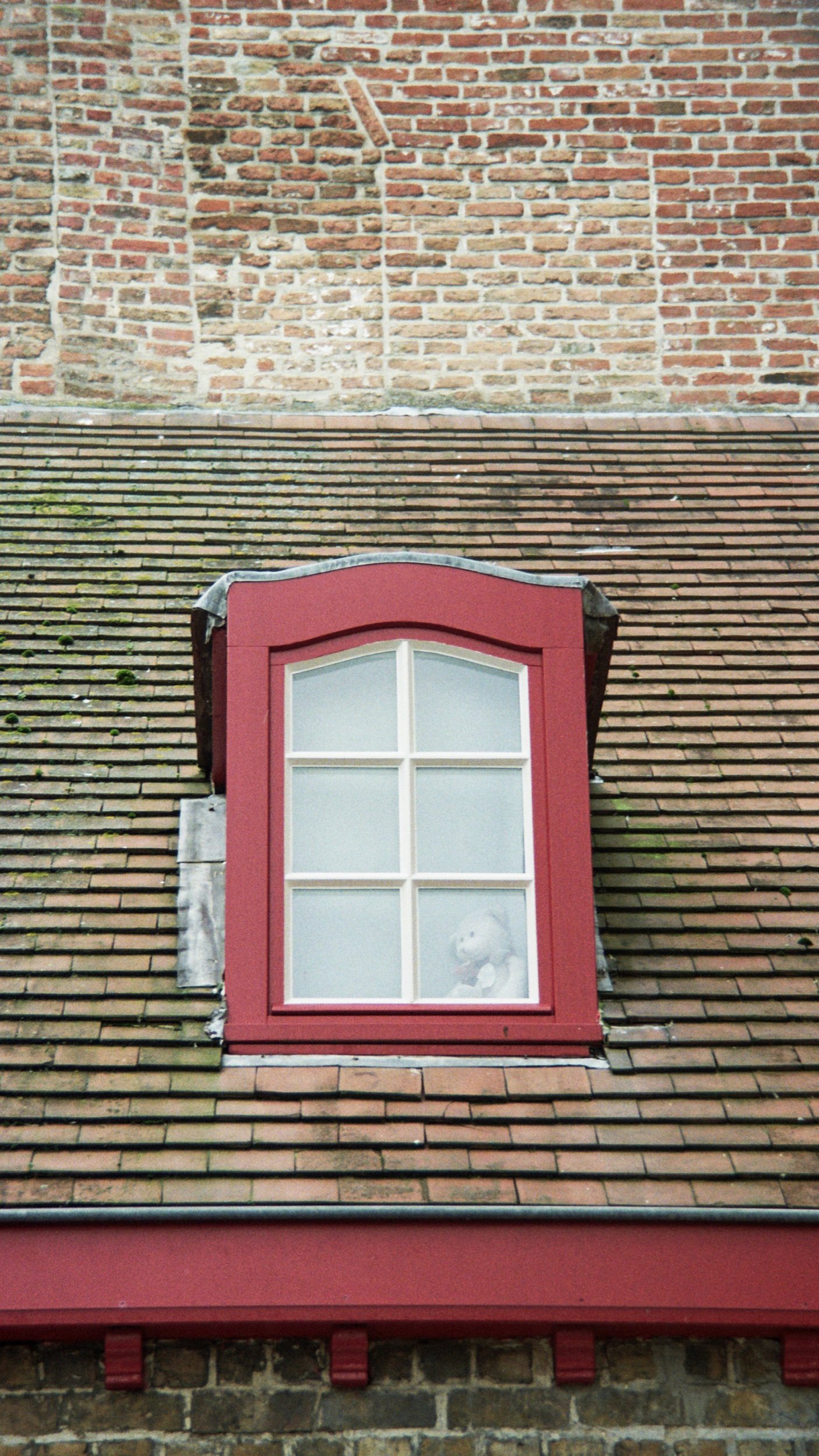 FFA374F7-87EA-48FE-8A73-65CB3C513A78.jpeg