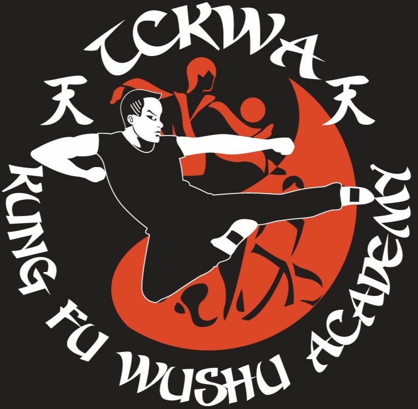 The Chinese Kung Fu Wushu Academy