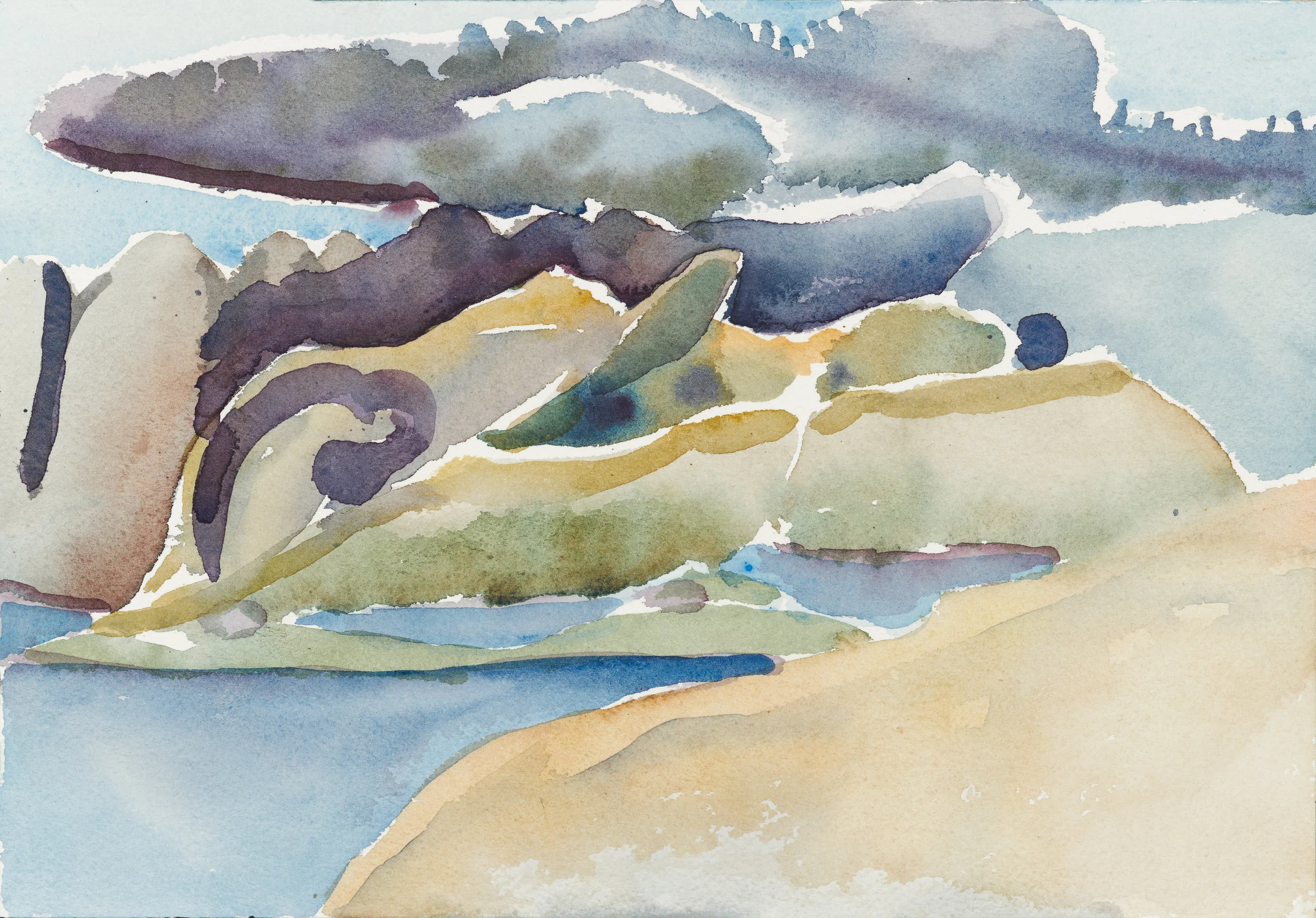 Point Lobos / 10" x 7"