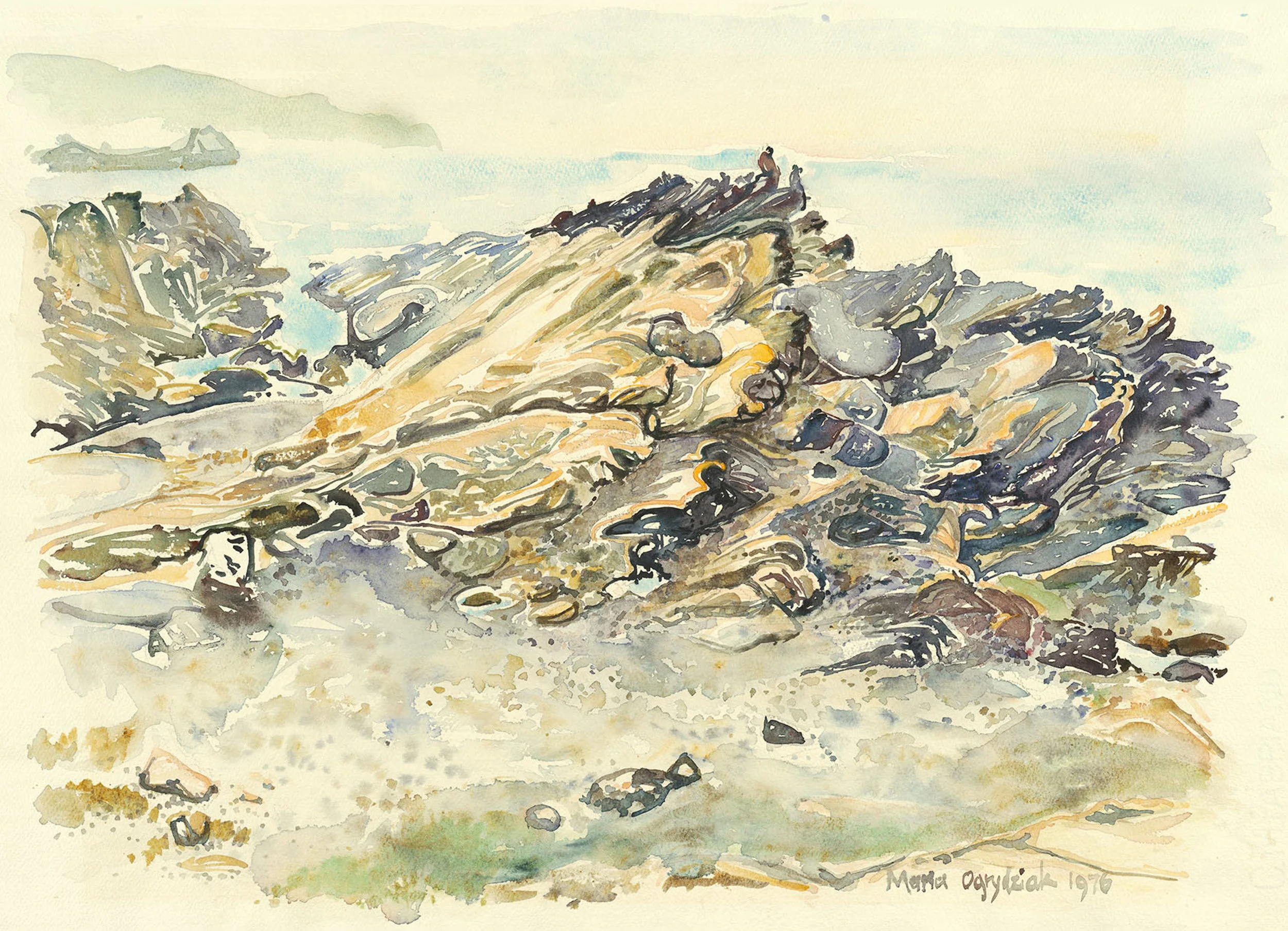 Point Lobos / 22" x 15"