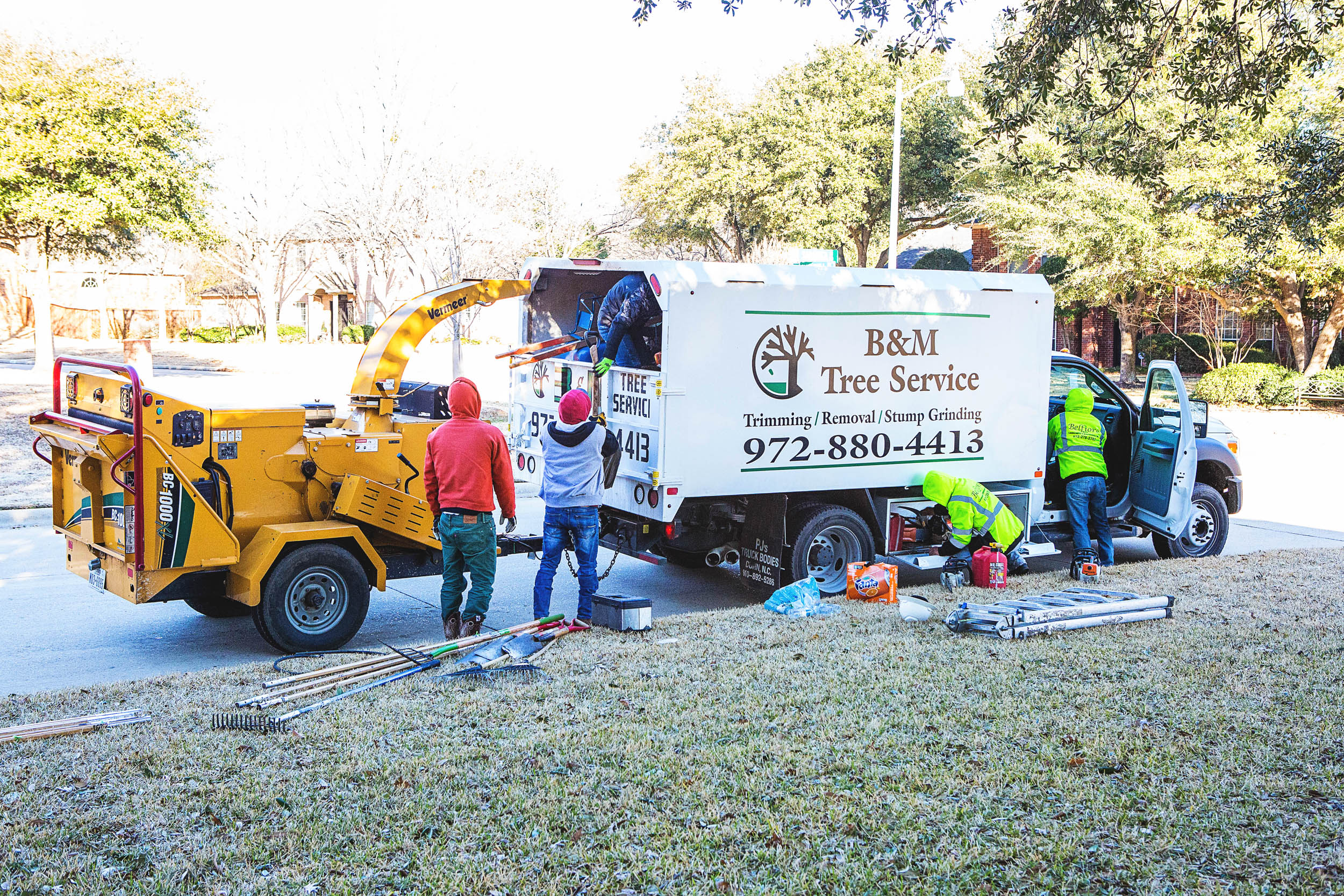 Bm Tree Service at Ava Ewers blog