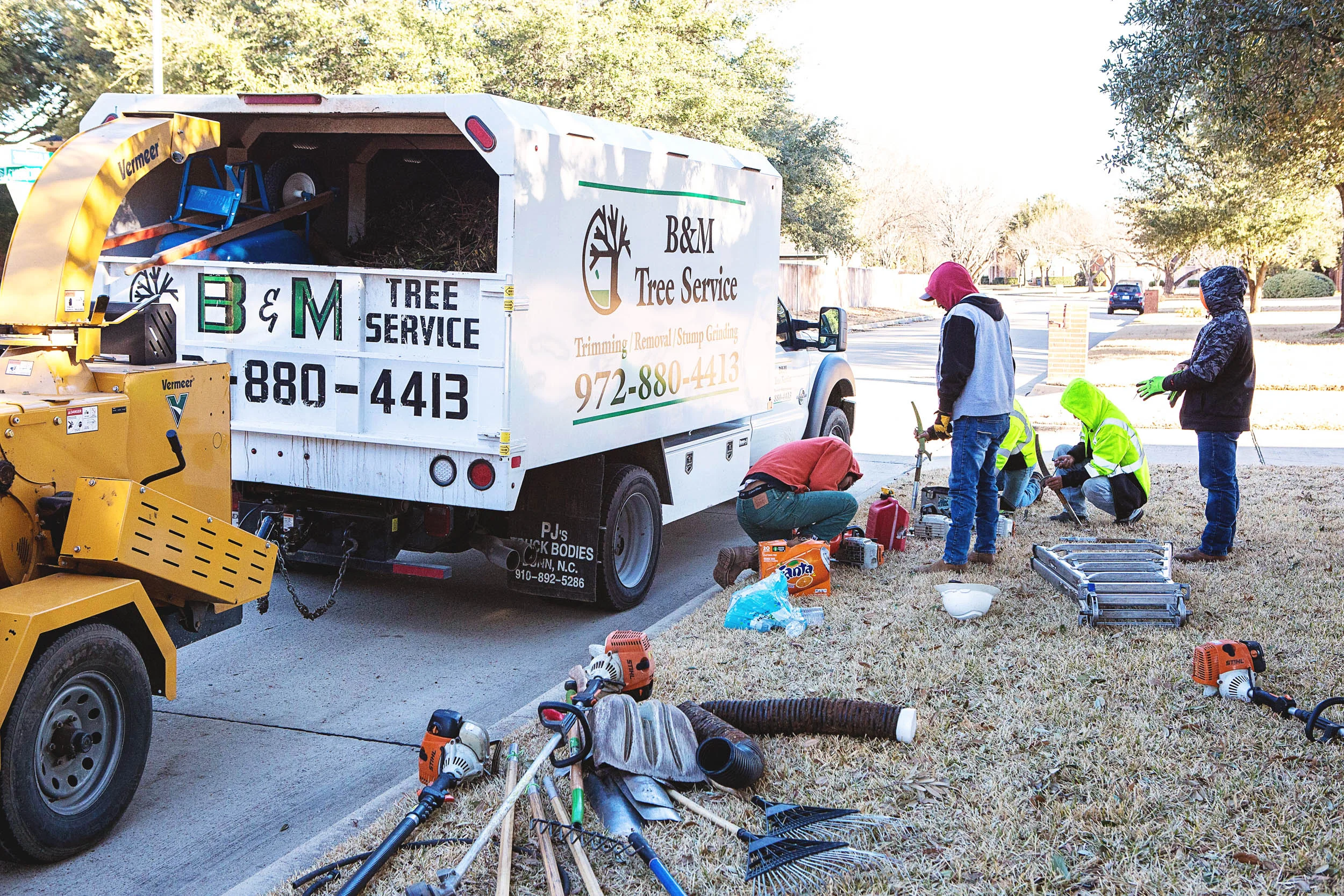 Bm Tree Service at Ava Ewers blog