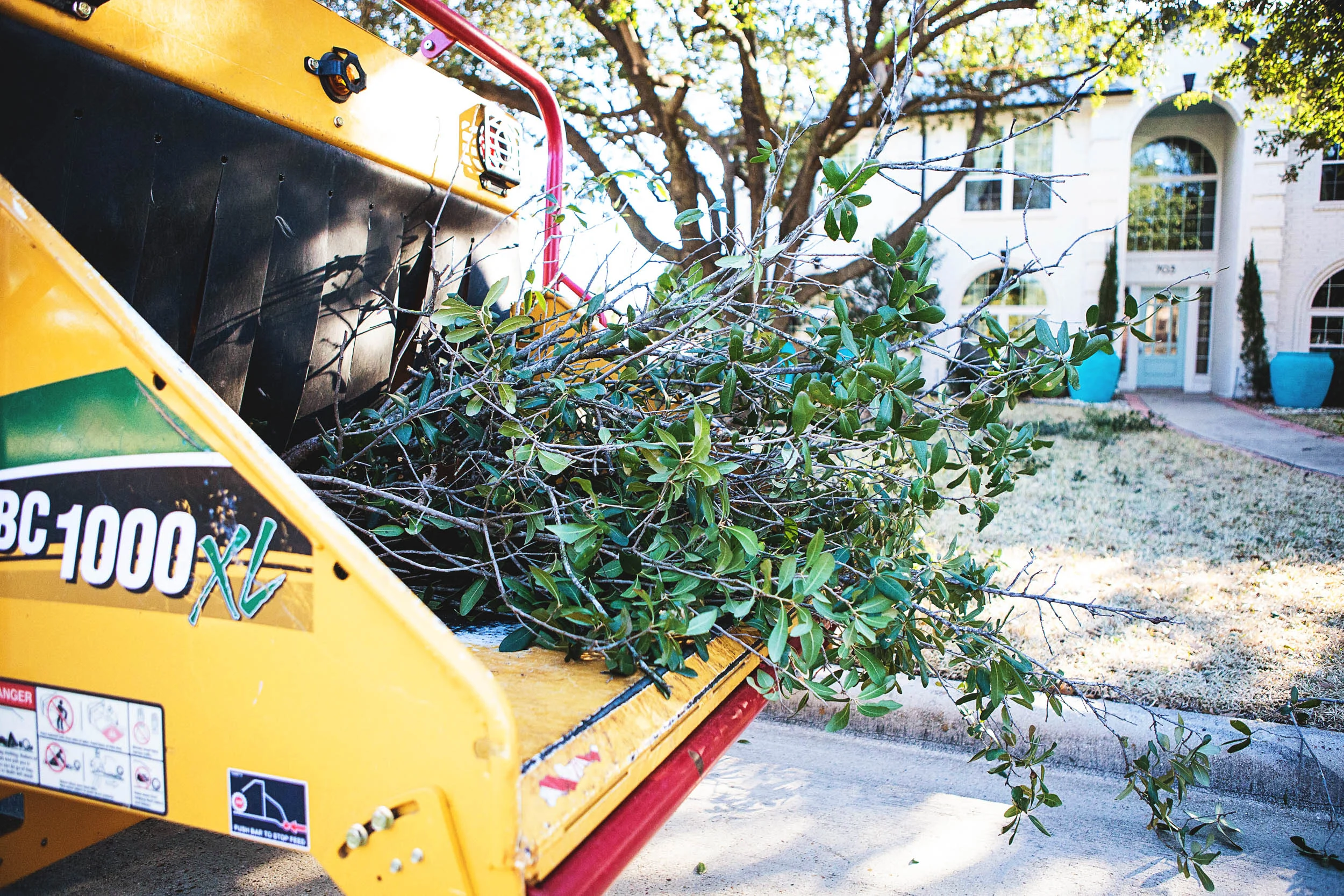 Tree Trimming in Southlake Texas (16 of 23).jpg