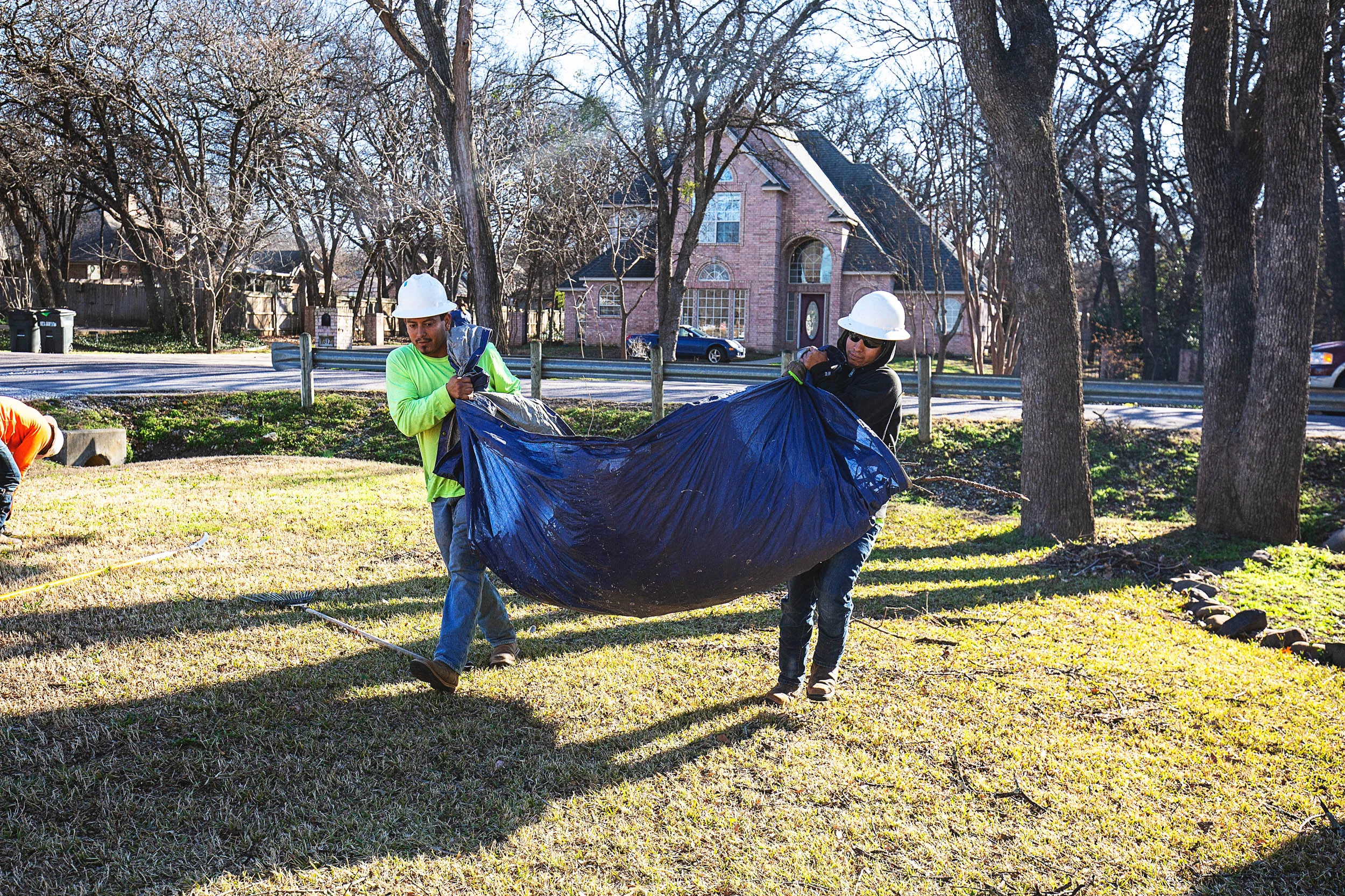 Tree Services in Westlake Photo Gallery — BM Tree Service