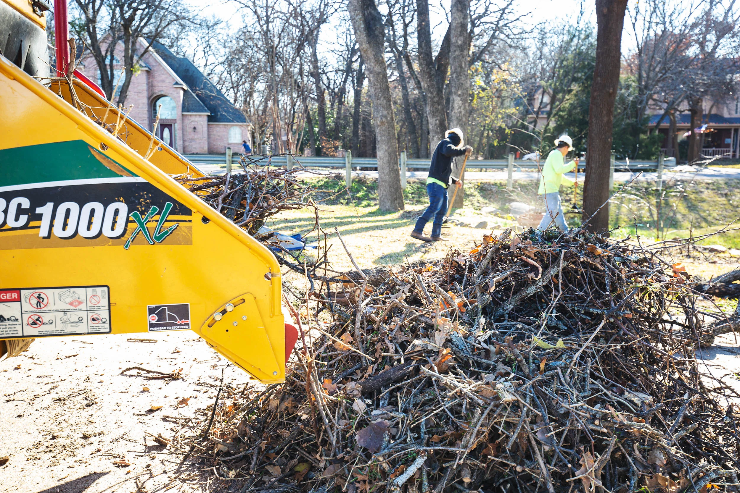 Tree Services in Westlake Photo Gallery — BM Tree Service