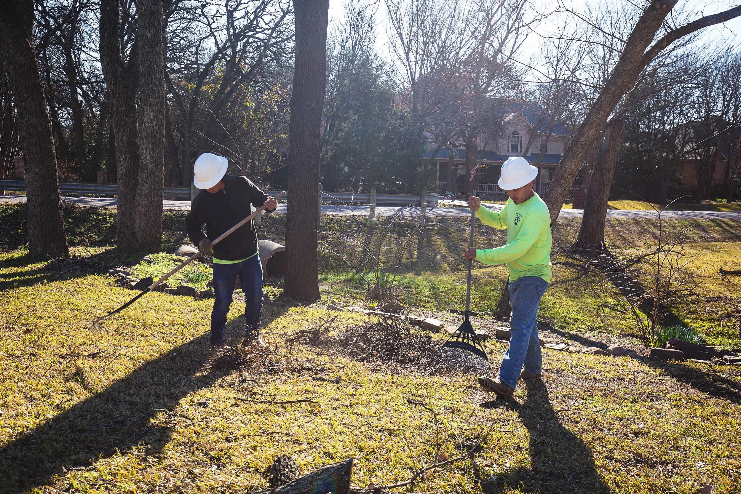 Tree Services in Westlake Photo Gallery — BM Tree Service