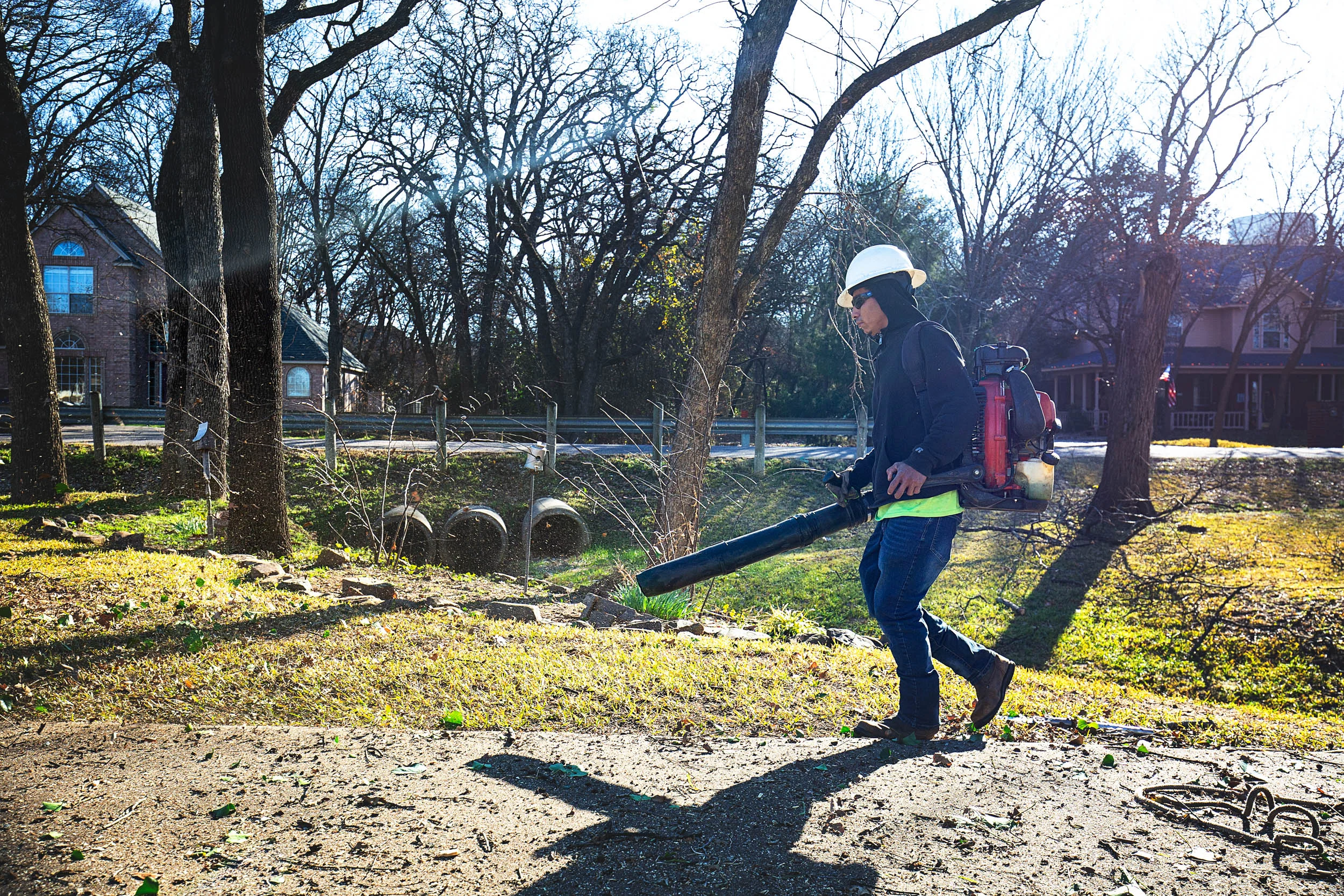 Tree Services in Westlake Photo Gallery — BM Tree Service