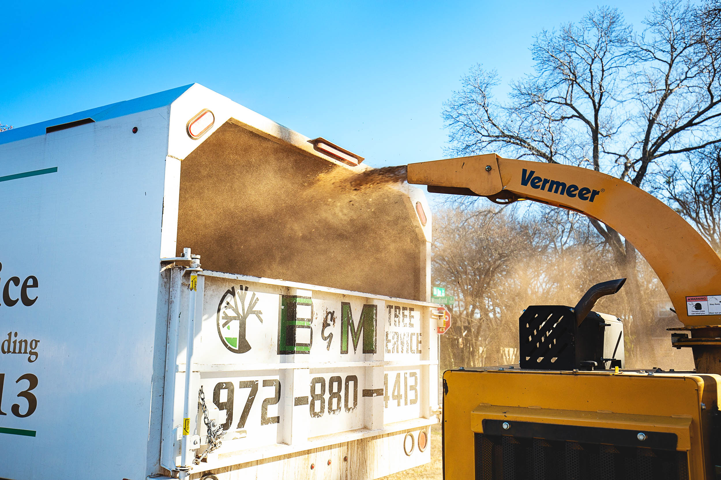 Tree Services in Westlake Photo Gallery — BM Tree Service