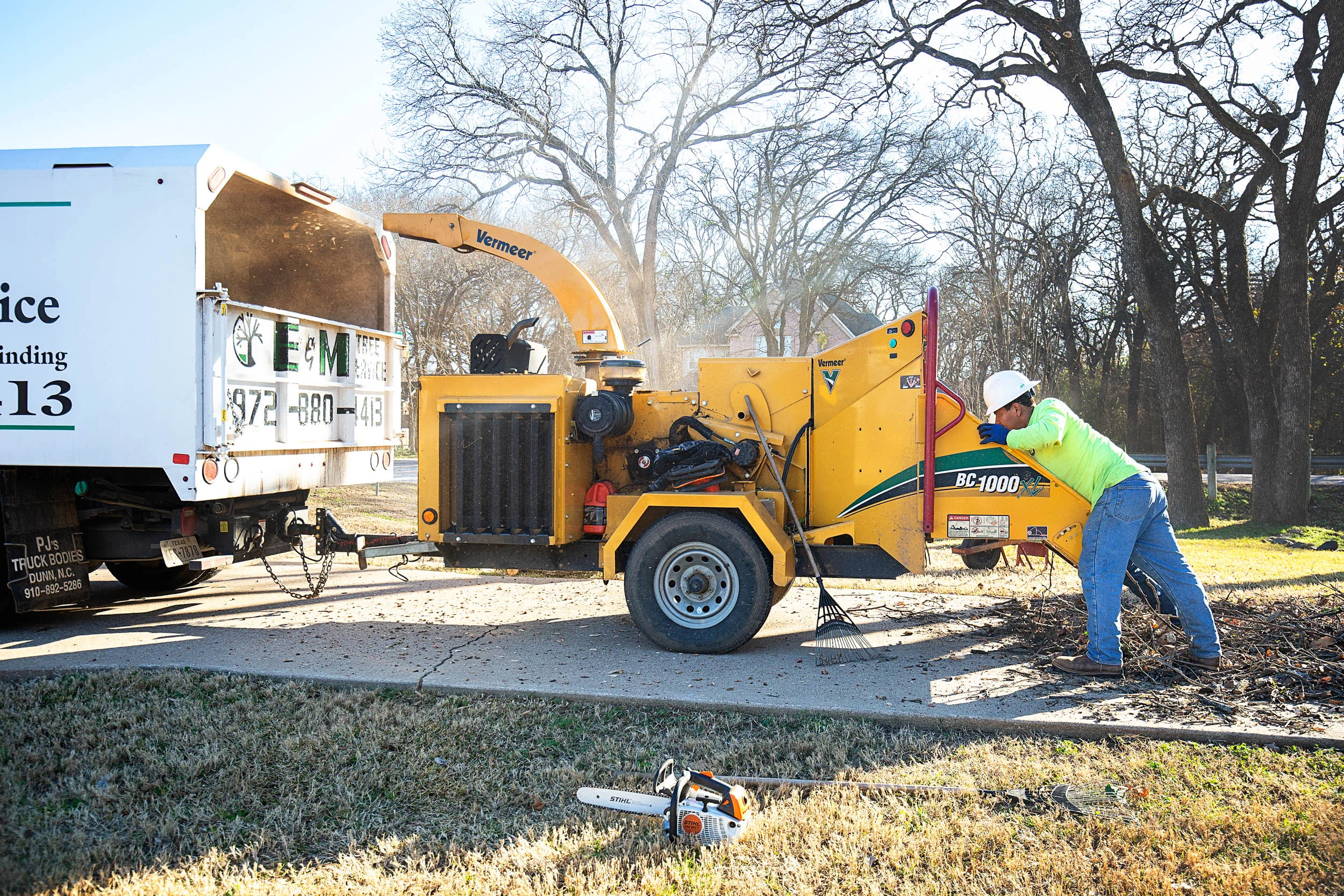 Tree Services in Westlake Photo Gallery — BM Tree Service