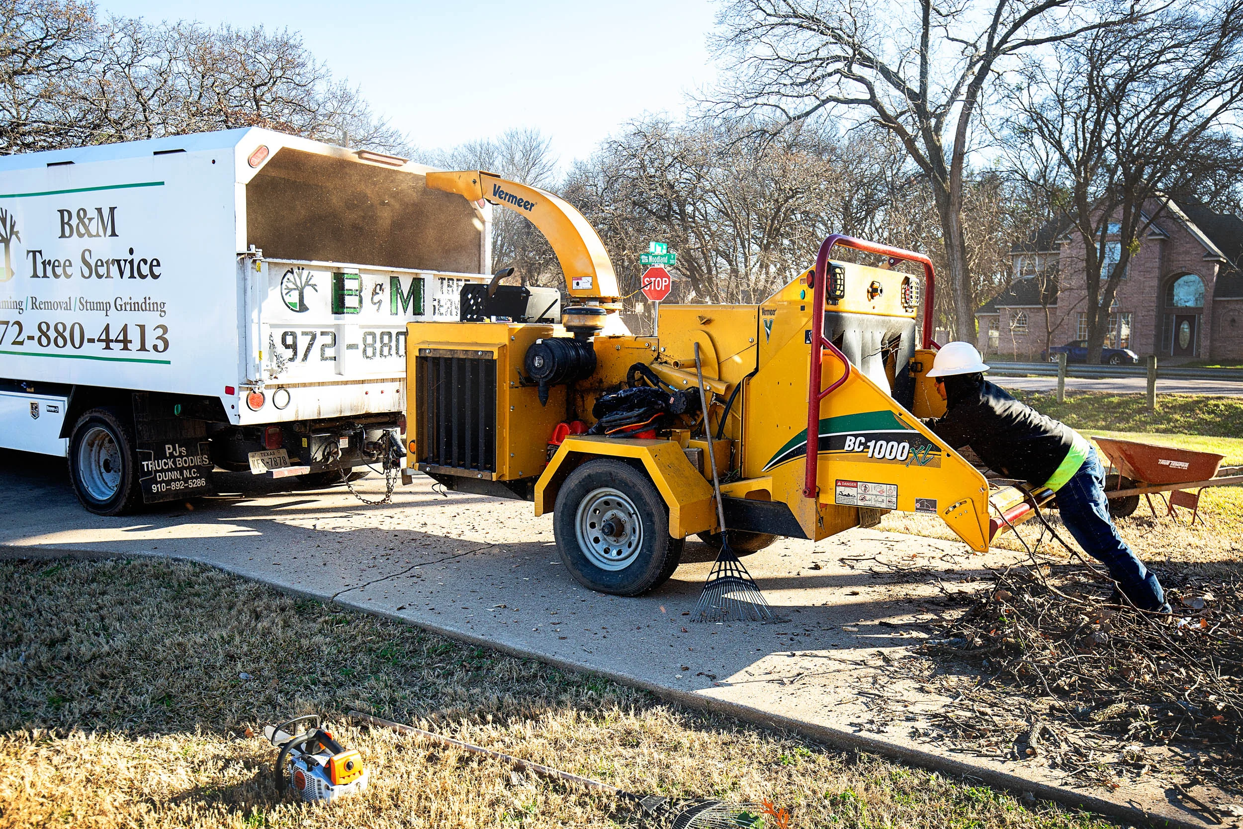 Tree Services in Westlake Photo Gallery — BM Tree Service