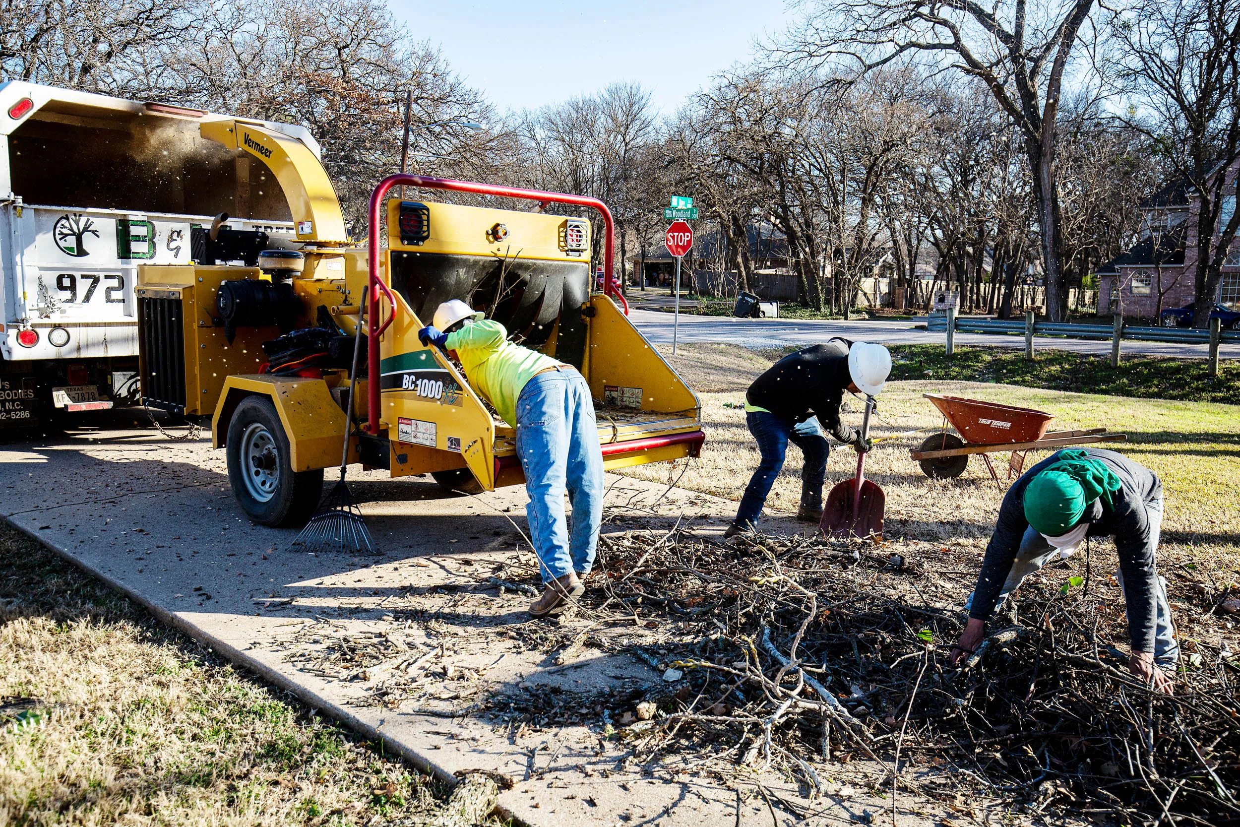 Tree Services in Westlake Photo Gallery — BM Tree Service