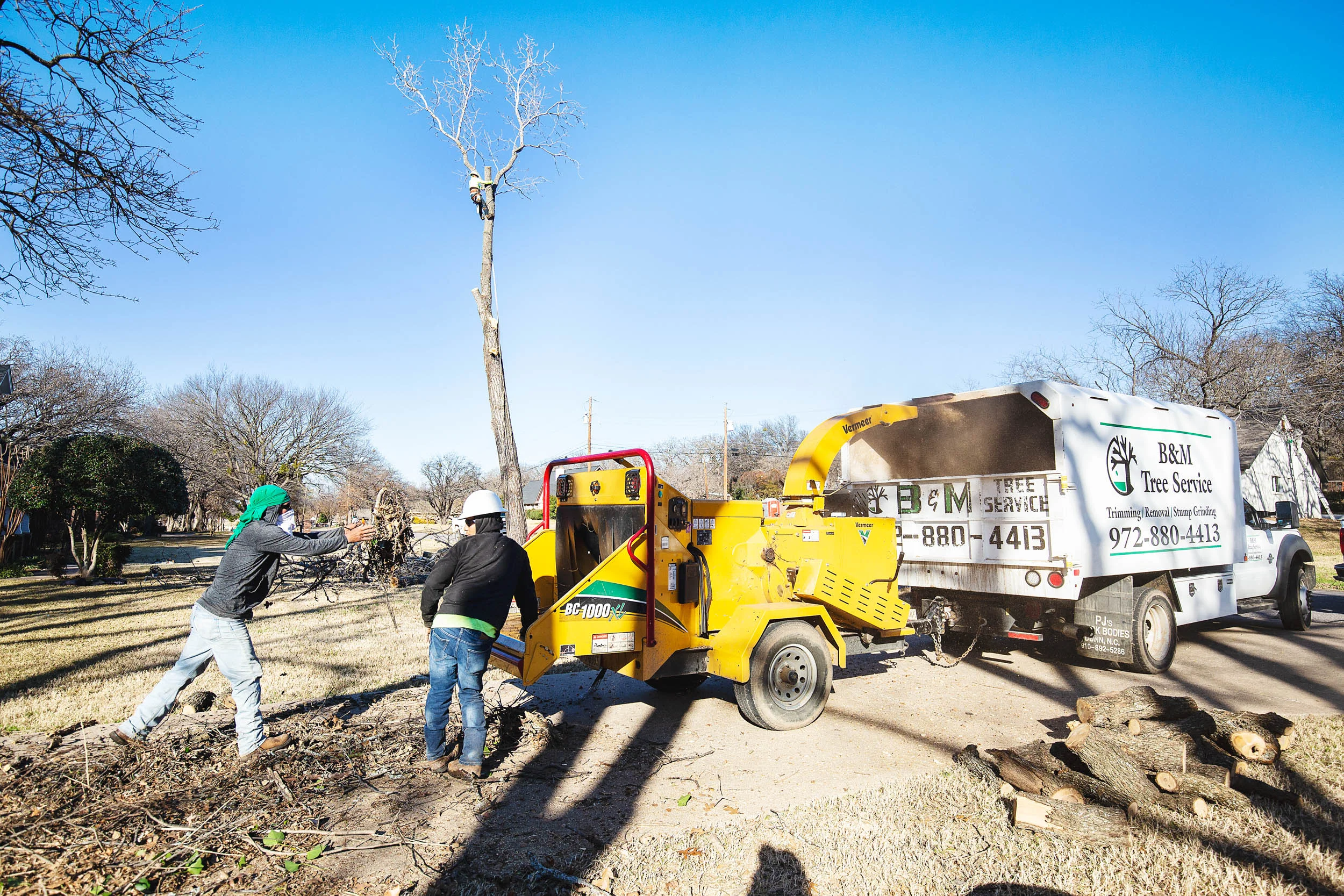 Tree Services in Westlake Photo Gallery — BM Tree Service