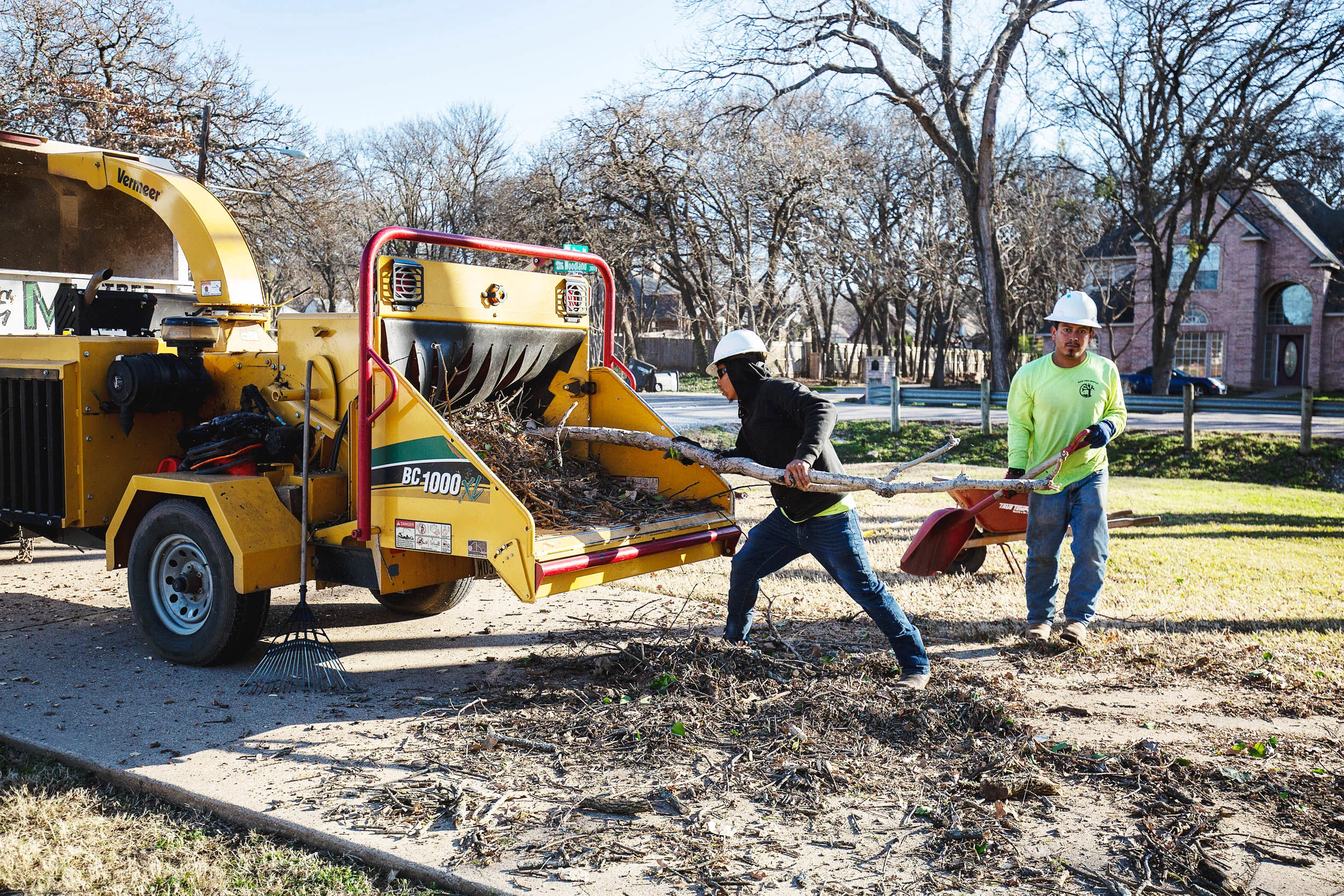 Tree Services in Westlake Photo Gallery — BM Tree Service