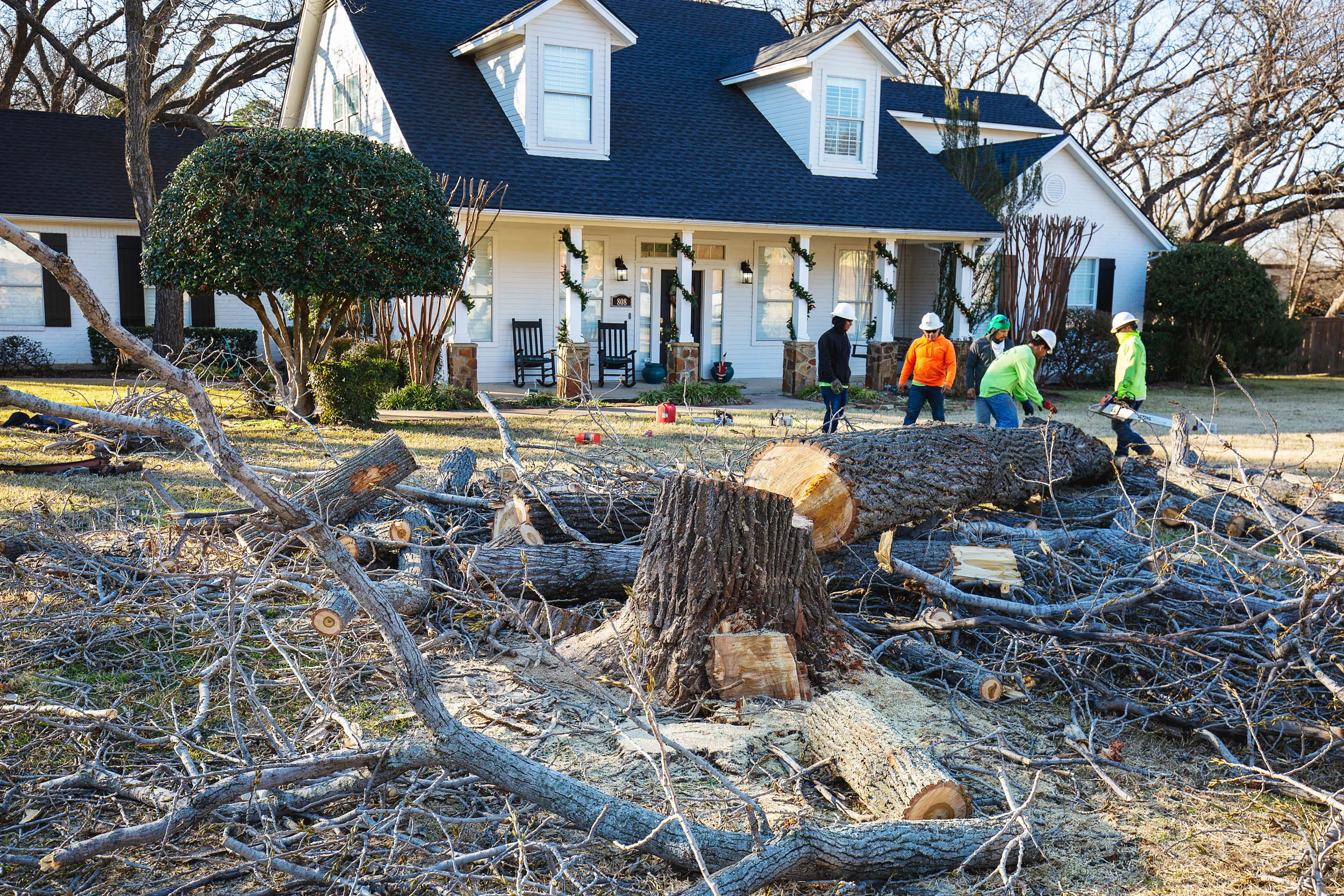 Tree Services in Westlake Photo Gallery — BM Tree Service