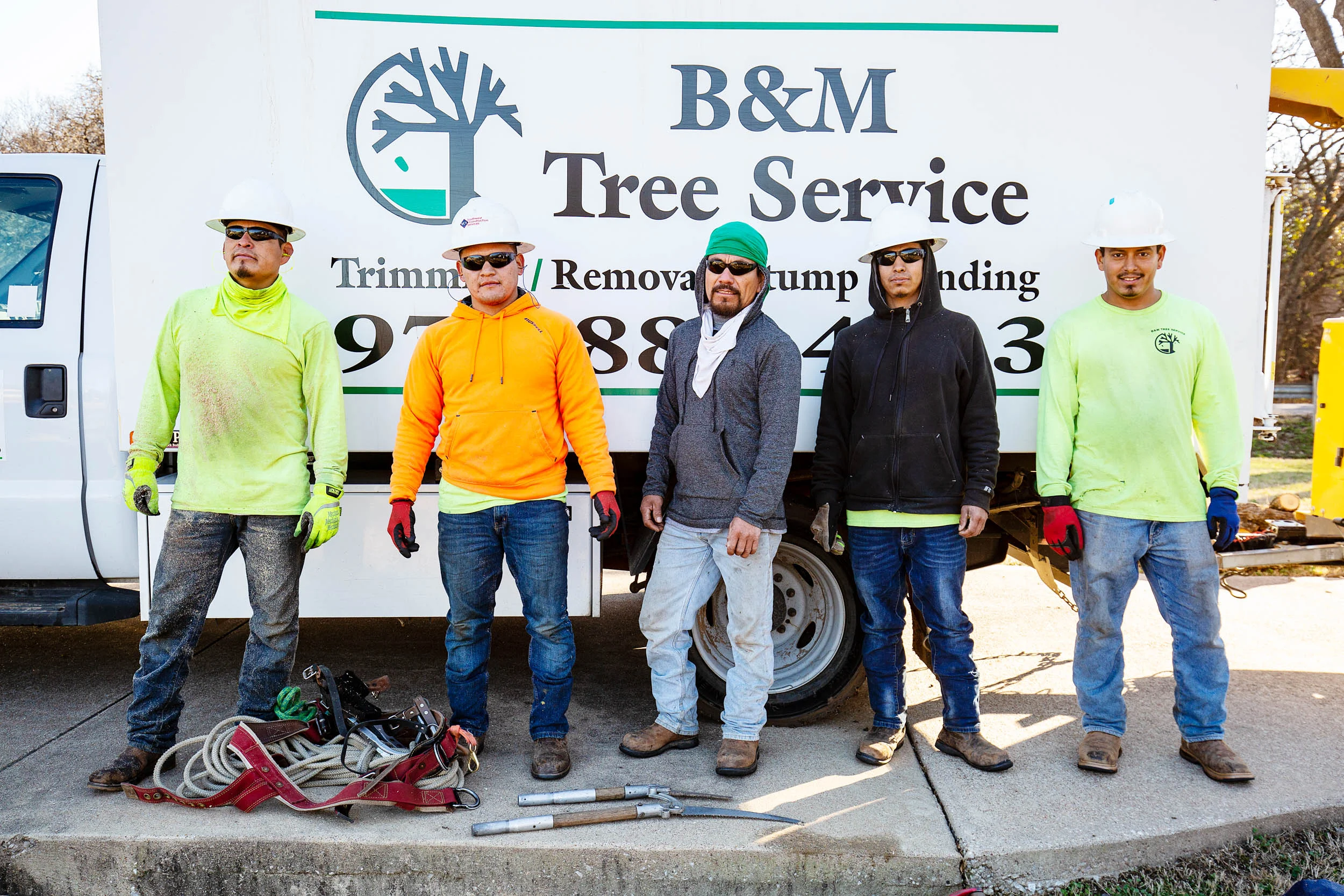 Tree Services in Westlake Photo Gallery — BM Tree Service