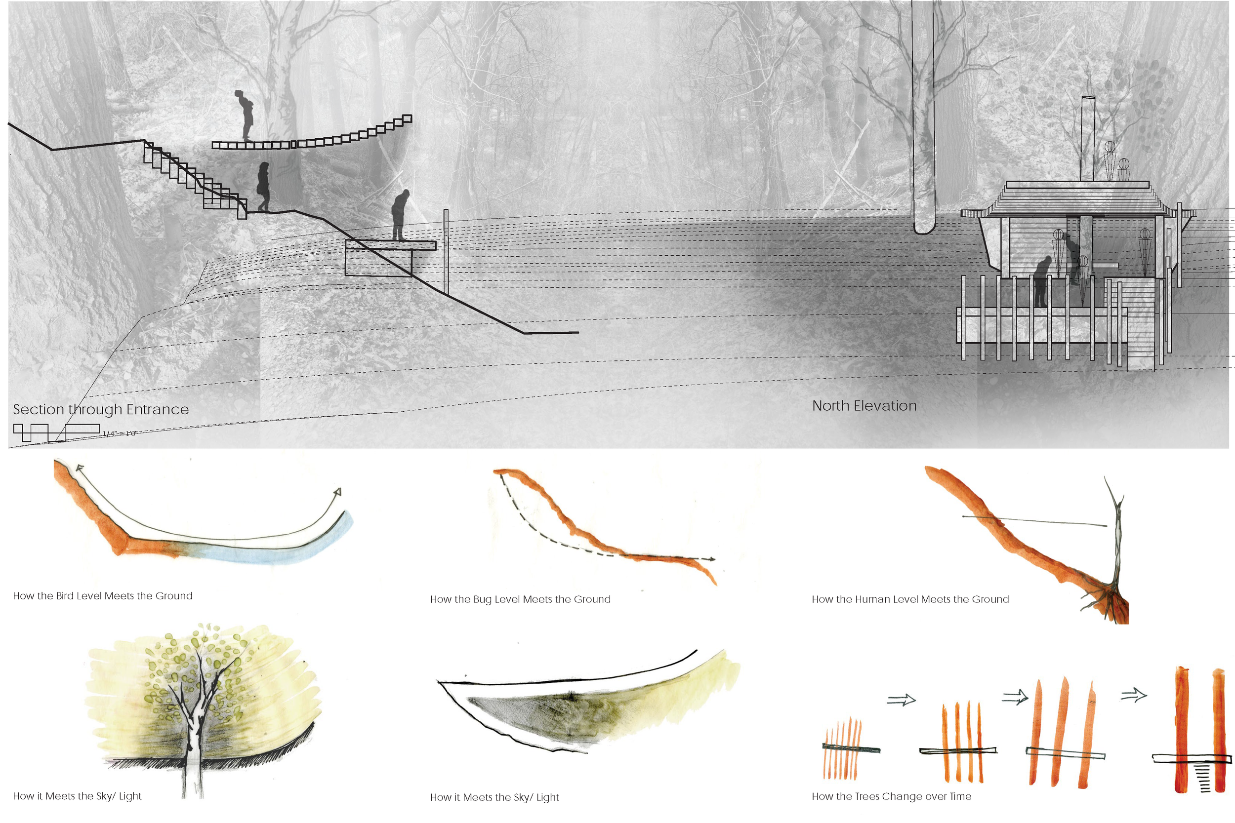 48105_S18_Dhanesha_Juhi_Proj3_FinalPlot 1_Page_2.png