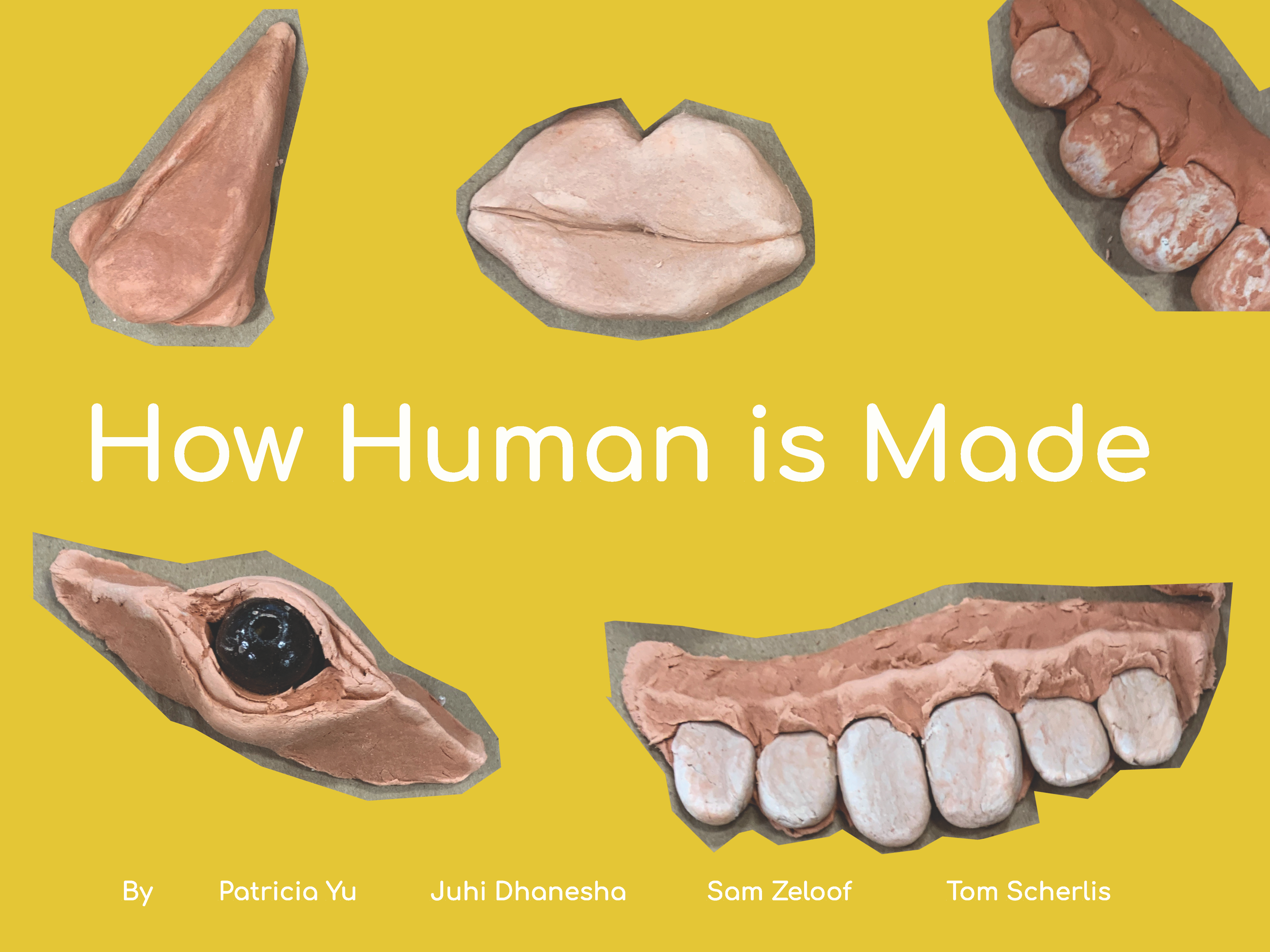 How Human Is Made 1.png