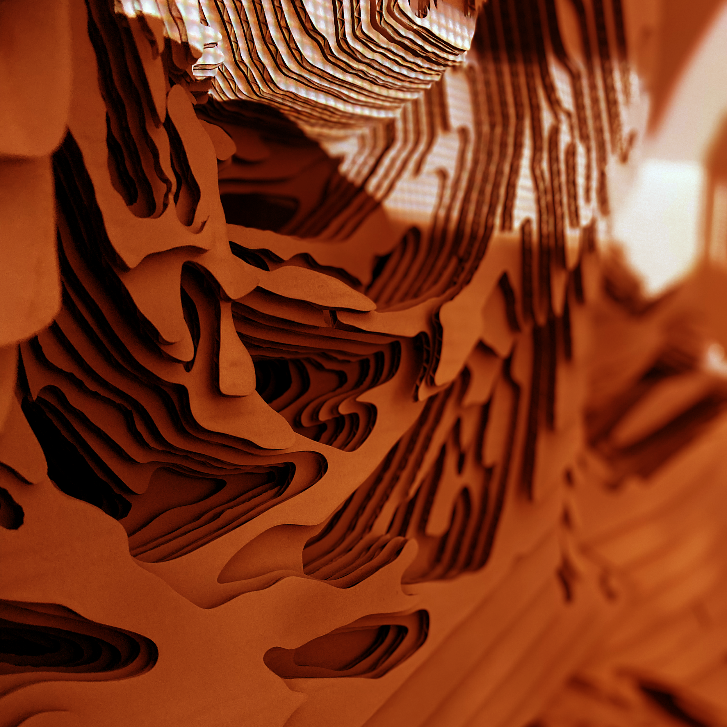 diagonal section cover image.png