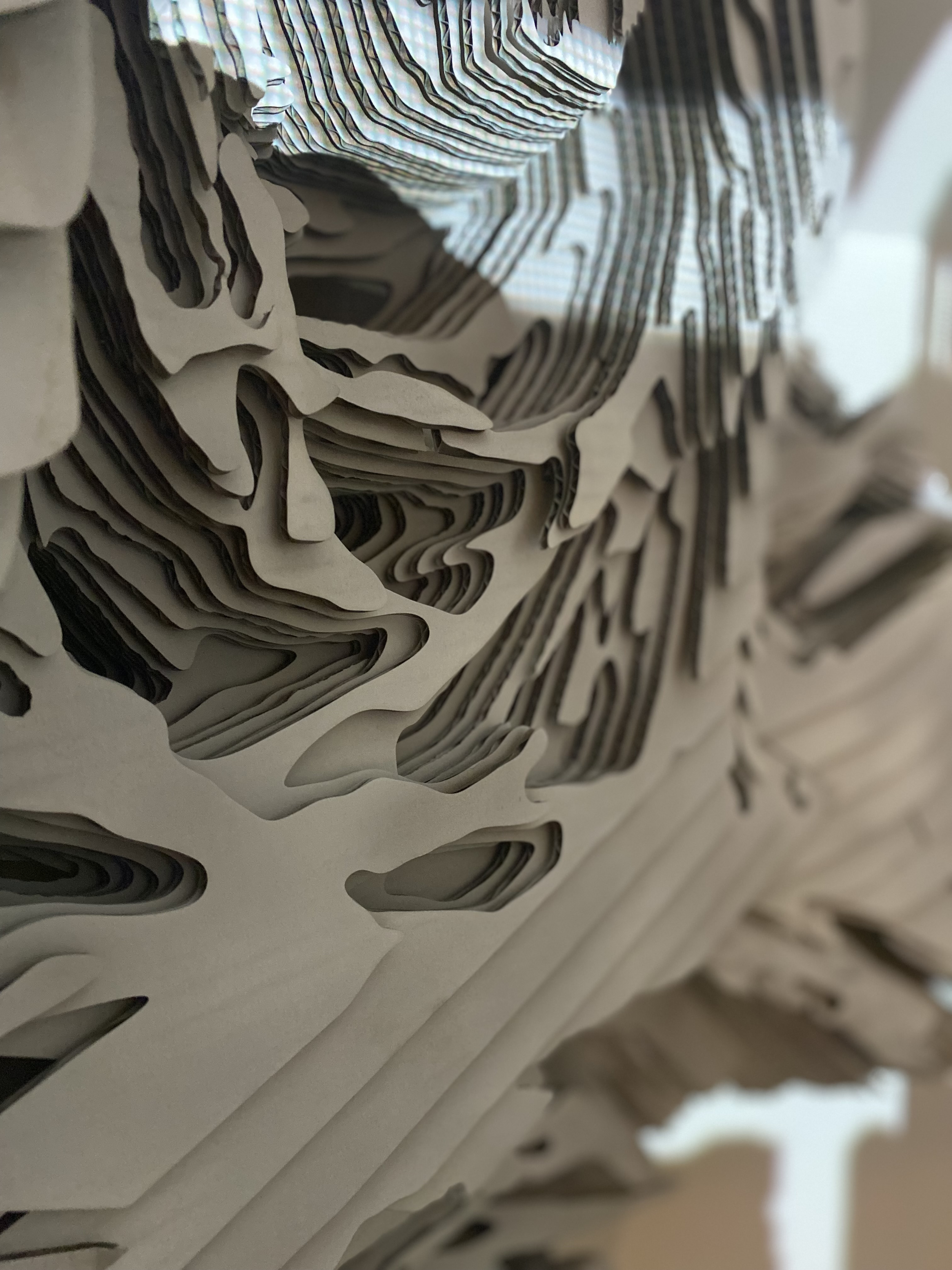 diagonal exhibit pic.png