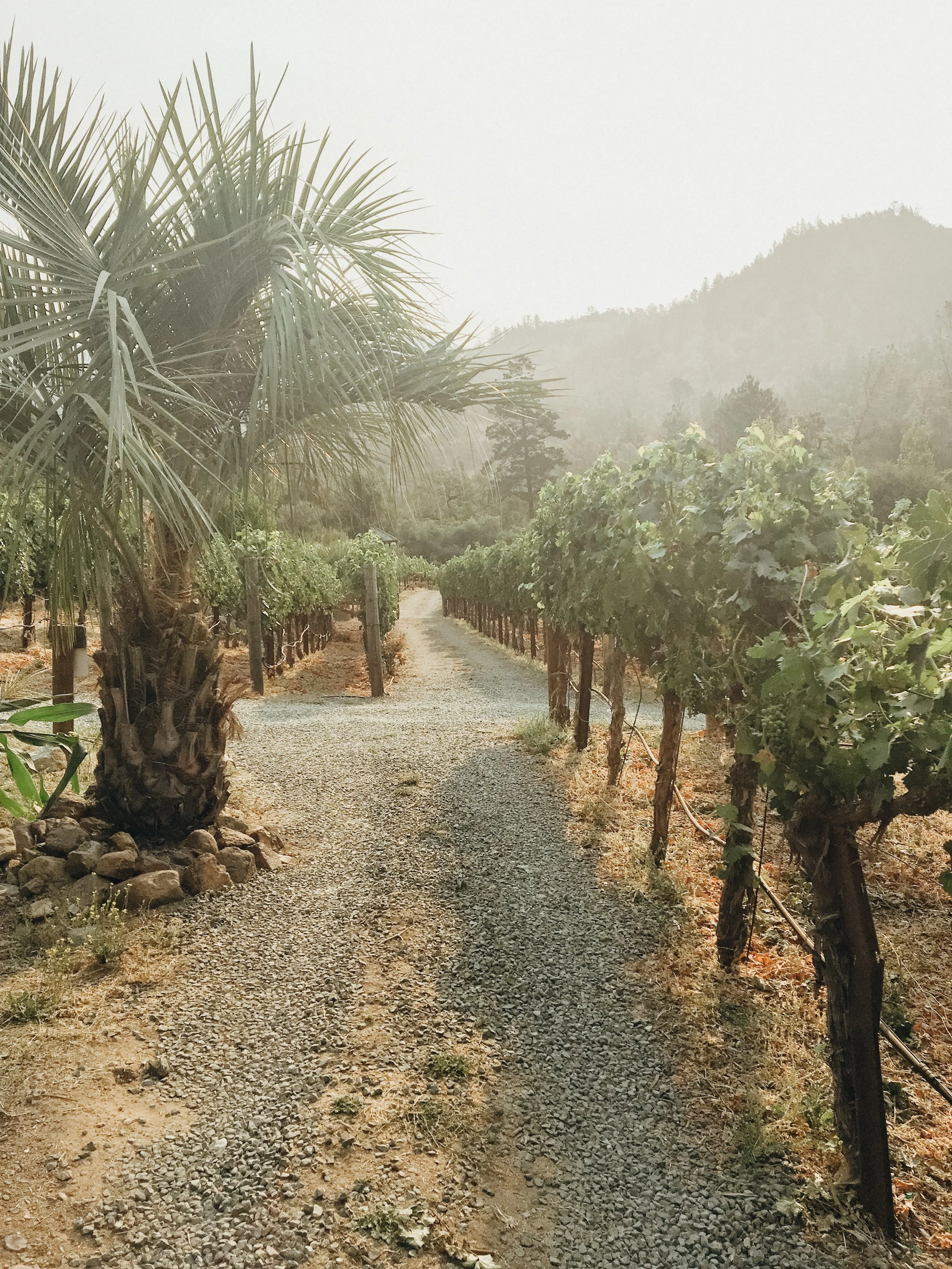 California Road Trip