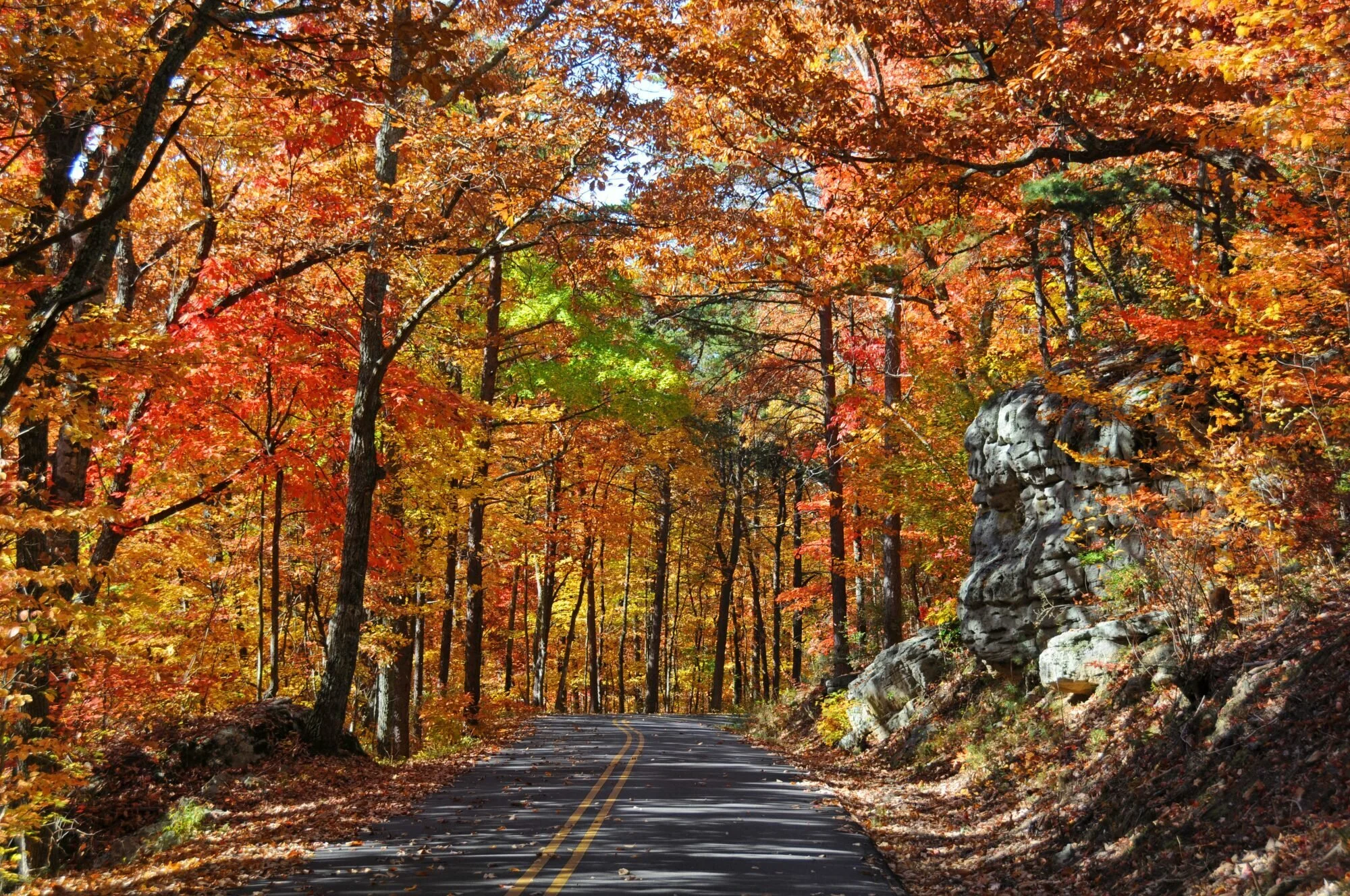 Image from https://www.southernliving.com/travel/fall-foliage