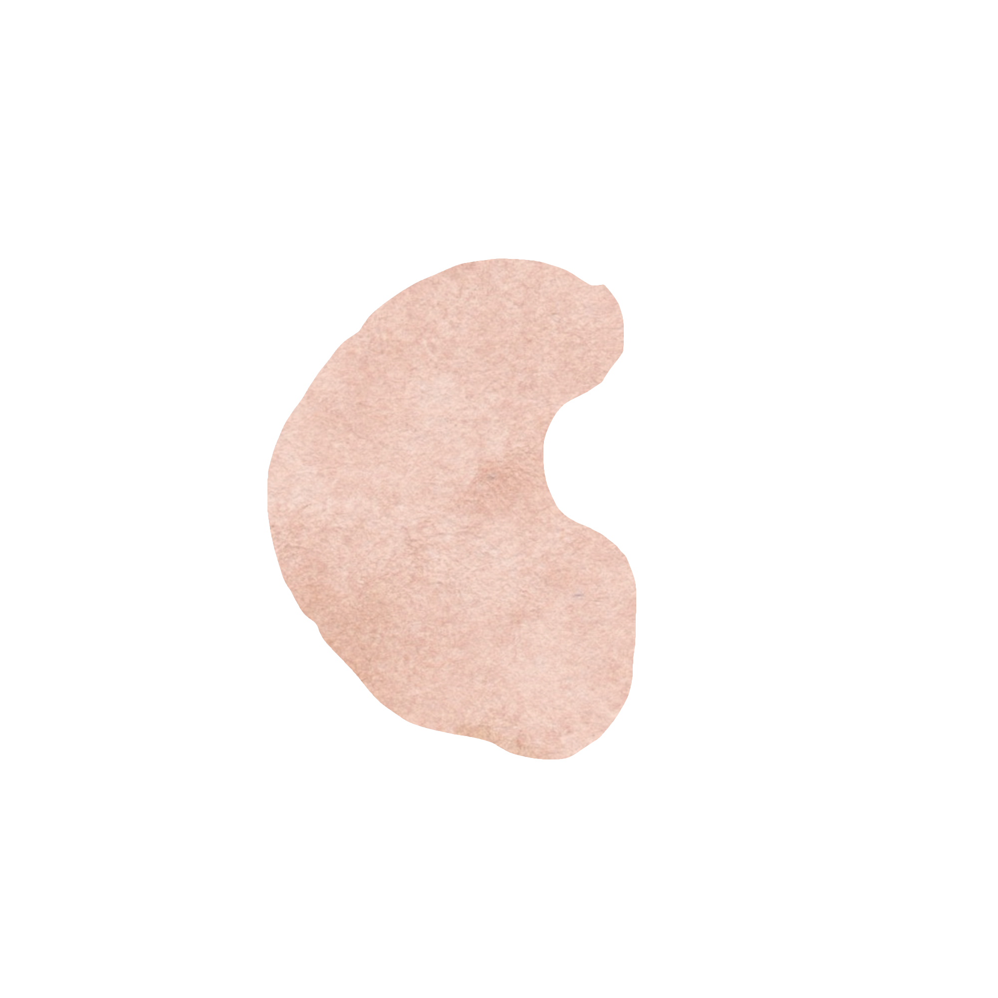 Established Businesses