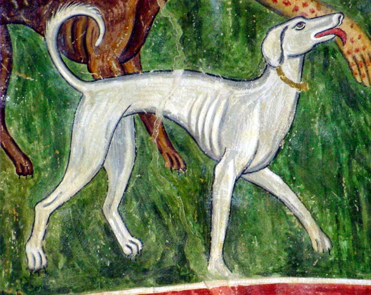 Greyhound