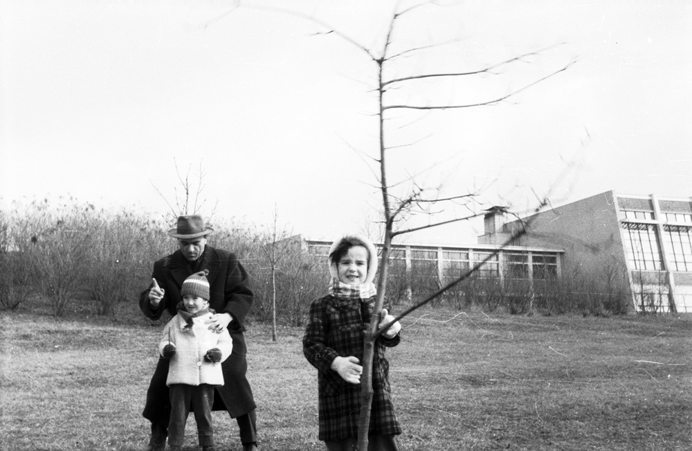 bw01553.jpg