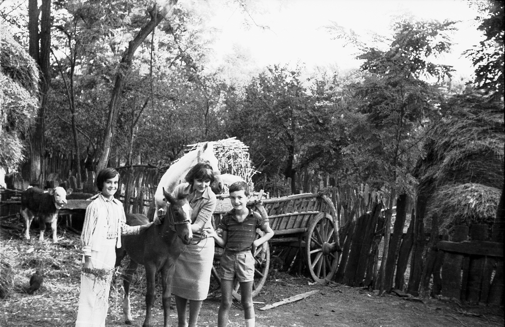 bw00287.jpg