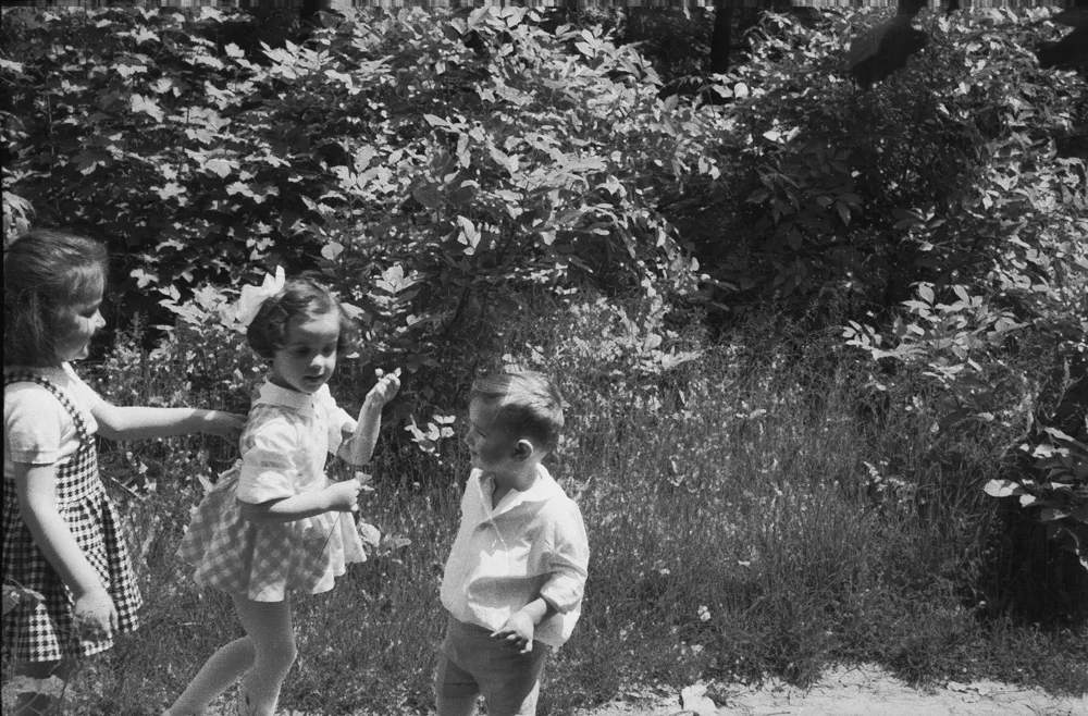 bw00367.jpg