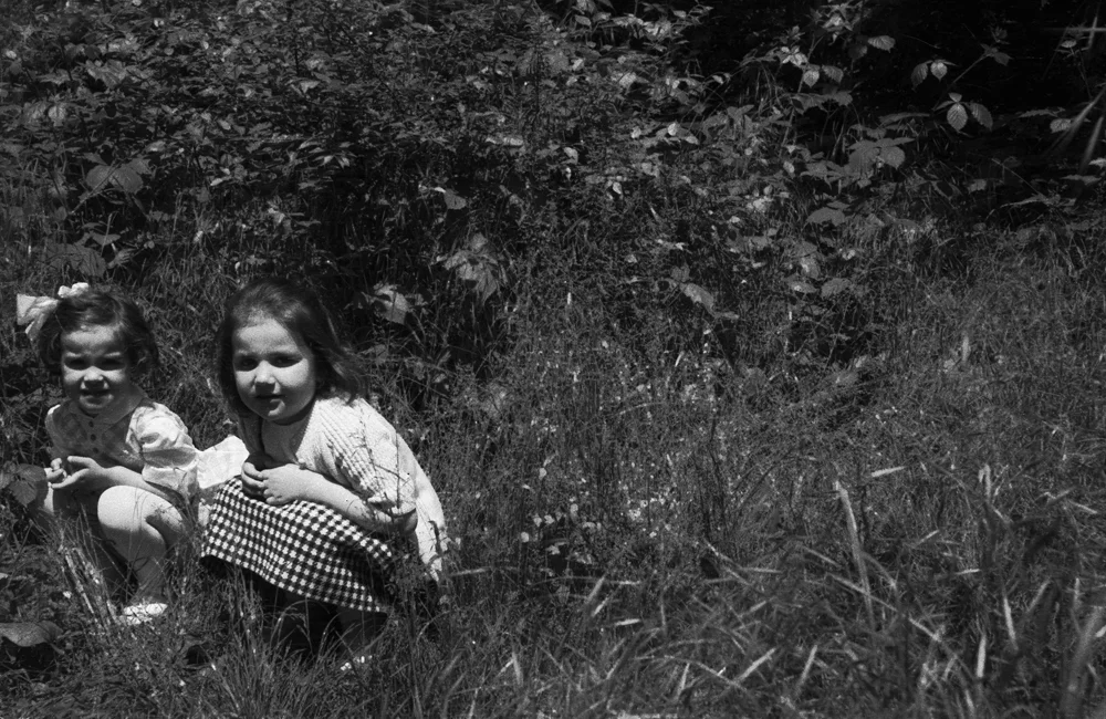 bw00362.jpg