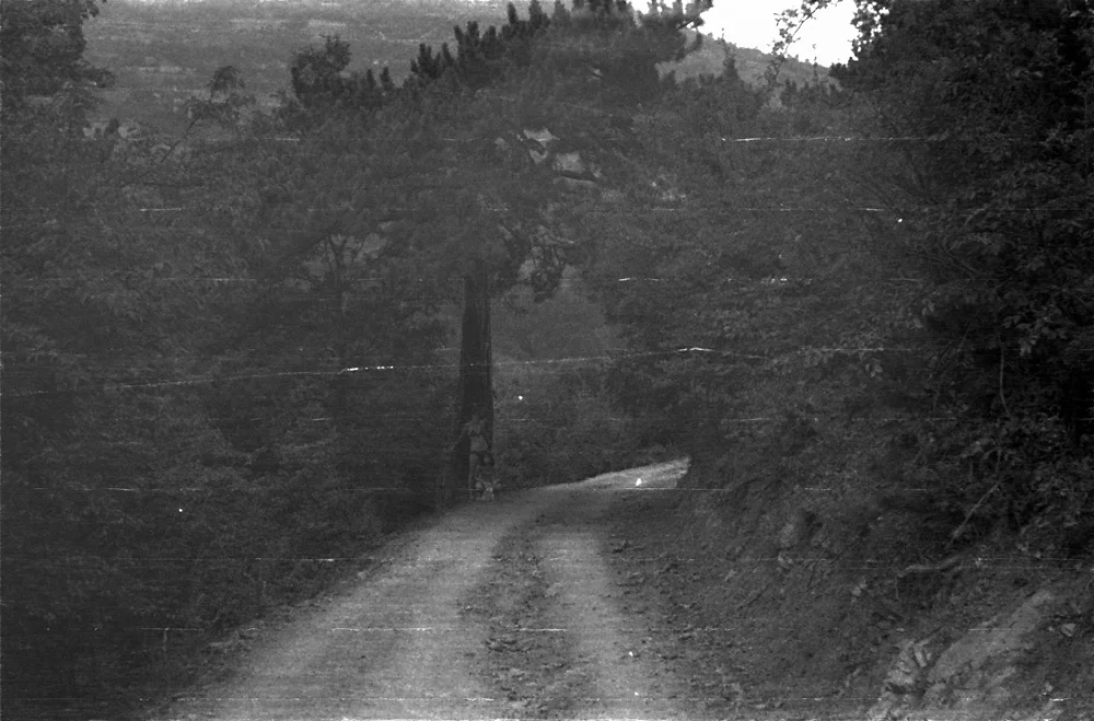 bw00144.jpg