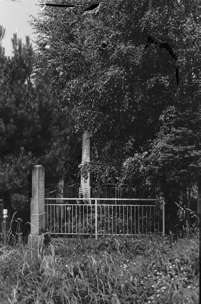 bw00695s.jpg