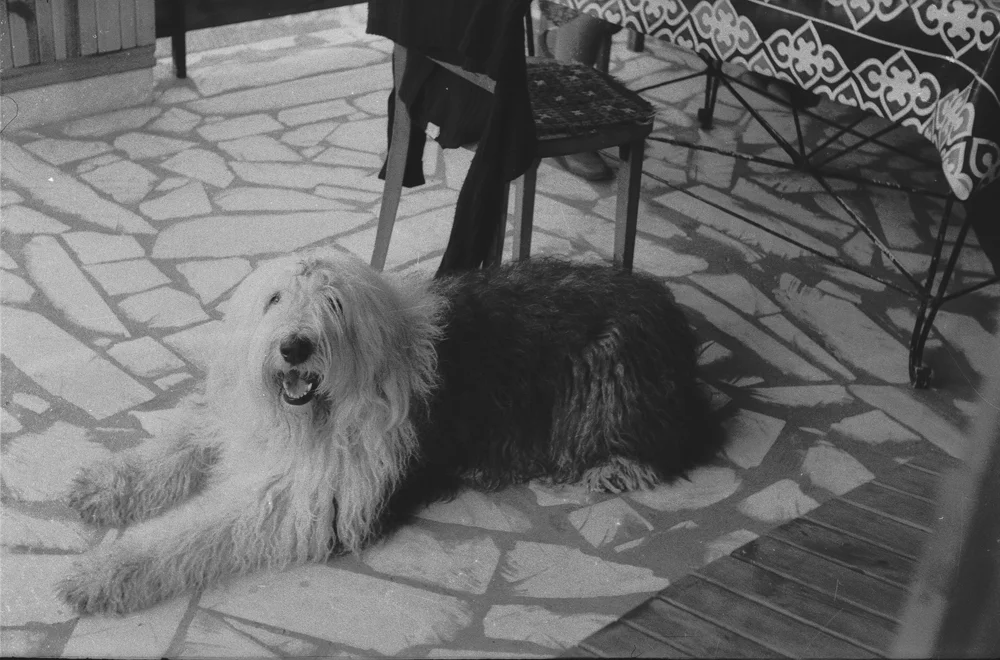 bw00767.jpg