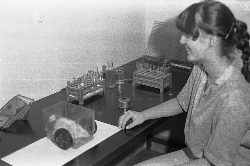 bw00717.jpg