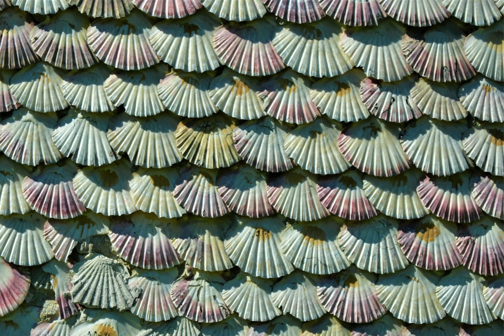 unsplash-image-q0aPJsqtixs.jpg