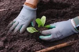 Refresh the Soil, Not Just the Plants