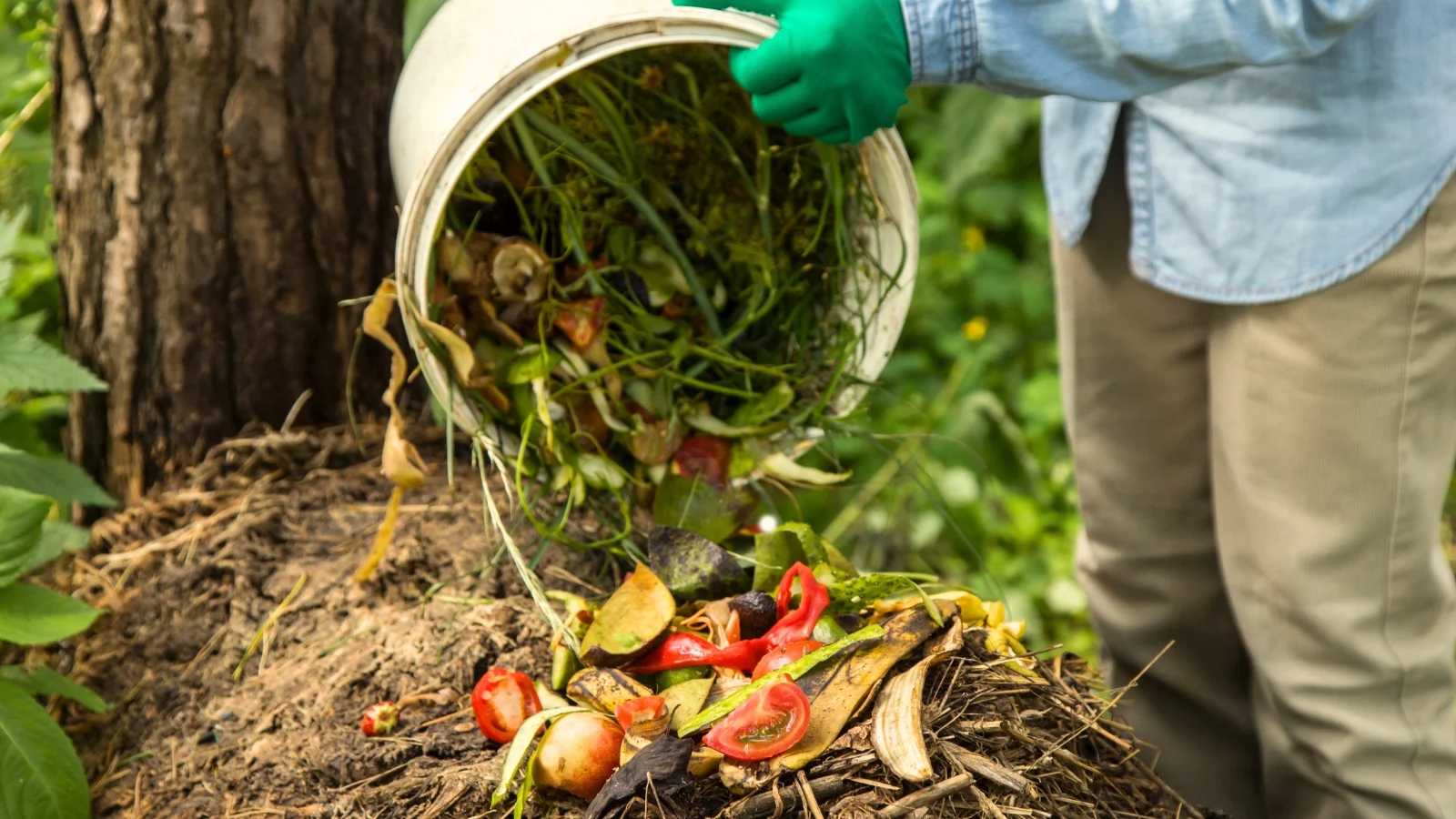 Compost Tune-Up: Browns/Greens Ratios With September Leaves + A Quick Pile-Turn Plan