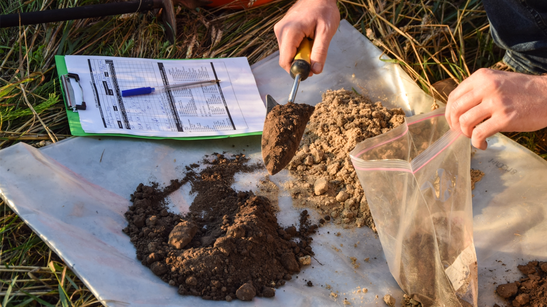 November Soil Testing: Setting Up for Spring Success