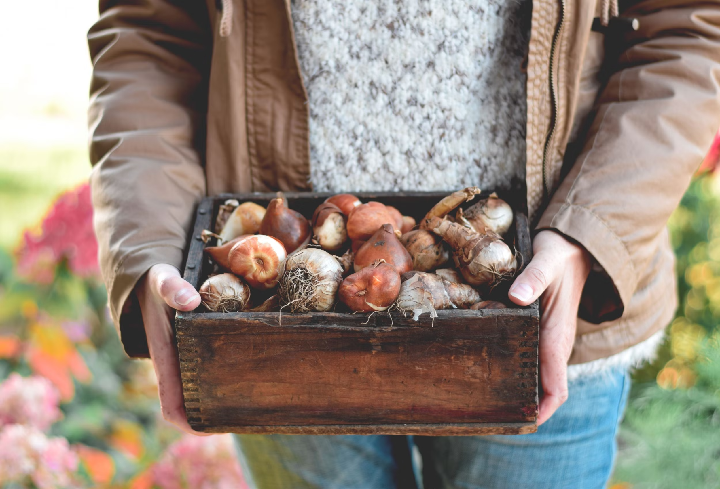 Storing Seeds and Bulbs for Next Year  How to keep your favorite varieties healthy, dry, and ready for next season
