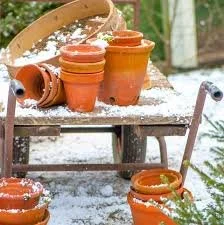 Protecting Outdoor Pots in Winter (Empty, store, or insulate to prevent cracking)