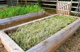 Preparing Garden Beds for Snow Cover (Protect and enrich soil with compost, mulch, and cover crops)