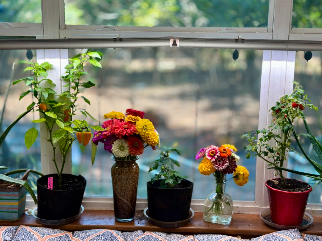 Refreshing Your Indoor Garden for the New Year
