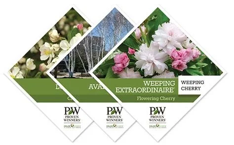 Reading Plant Labels Like A Pro: Off-Season Learning That Saves You Money