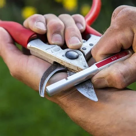 Sharp Tools: Winter Maintenance Homeowners Often Skip