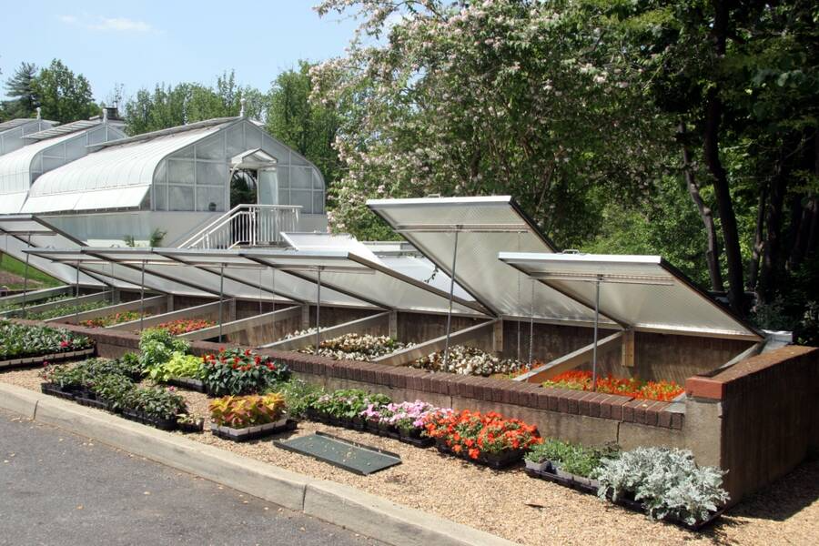 Greenhouse and Cold Frame Gardening Extending the Season on the Seacoast